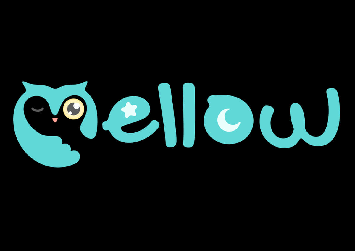 teal owl, one eye open and one closed, Mellow, SD Desktop Wallpaper