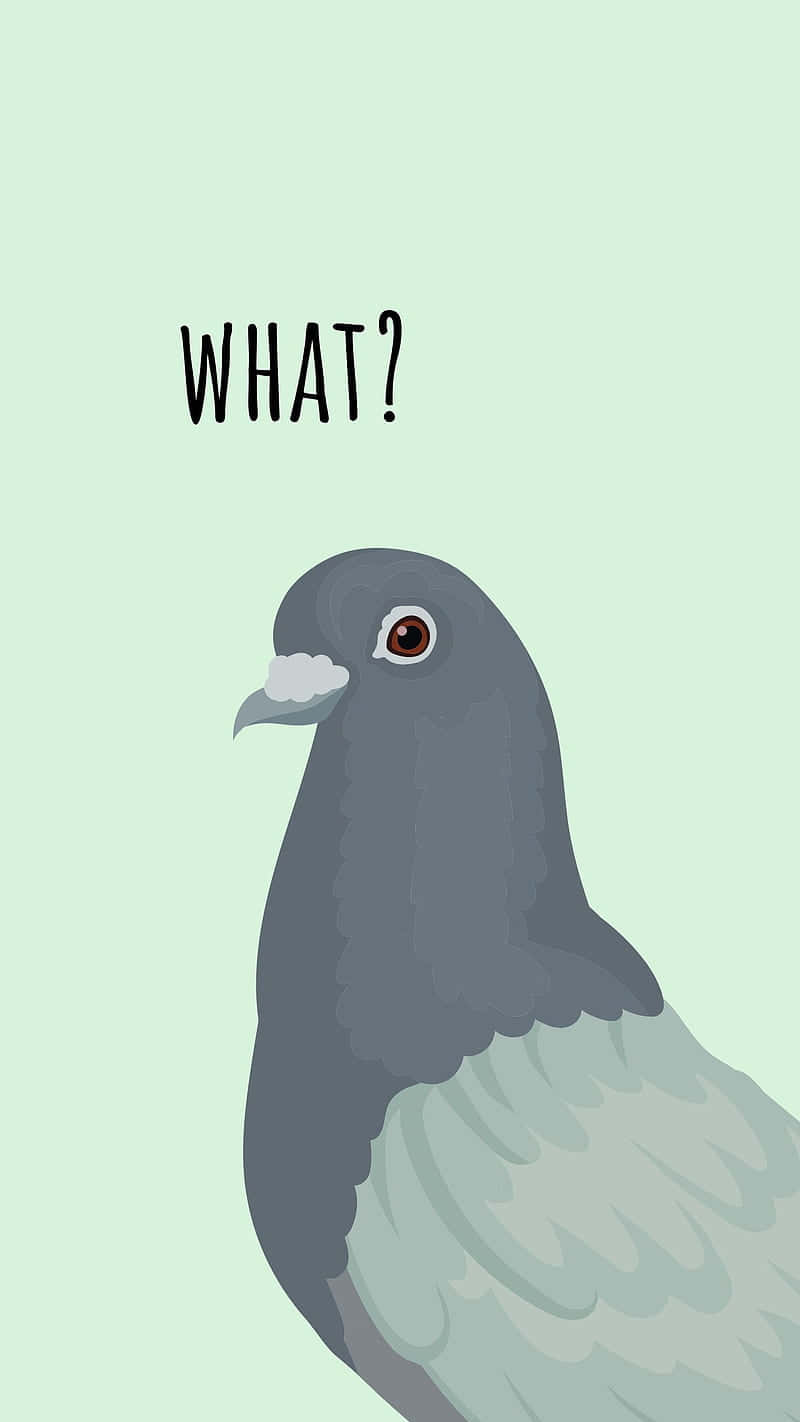 cartoon pigeon, surprised expression, WHAT?, HD Phone Wallpaper