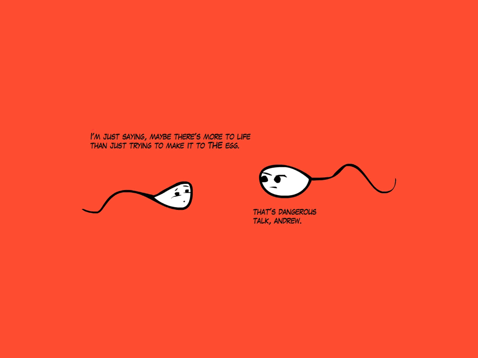 Sperm Meme Desktop, cartoon sperm cells, solid orange background, HD Desktop Wallpaper