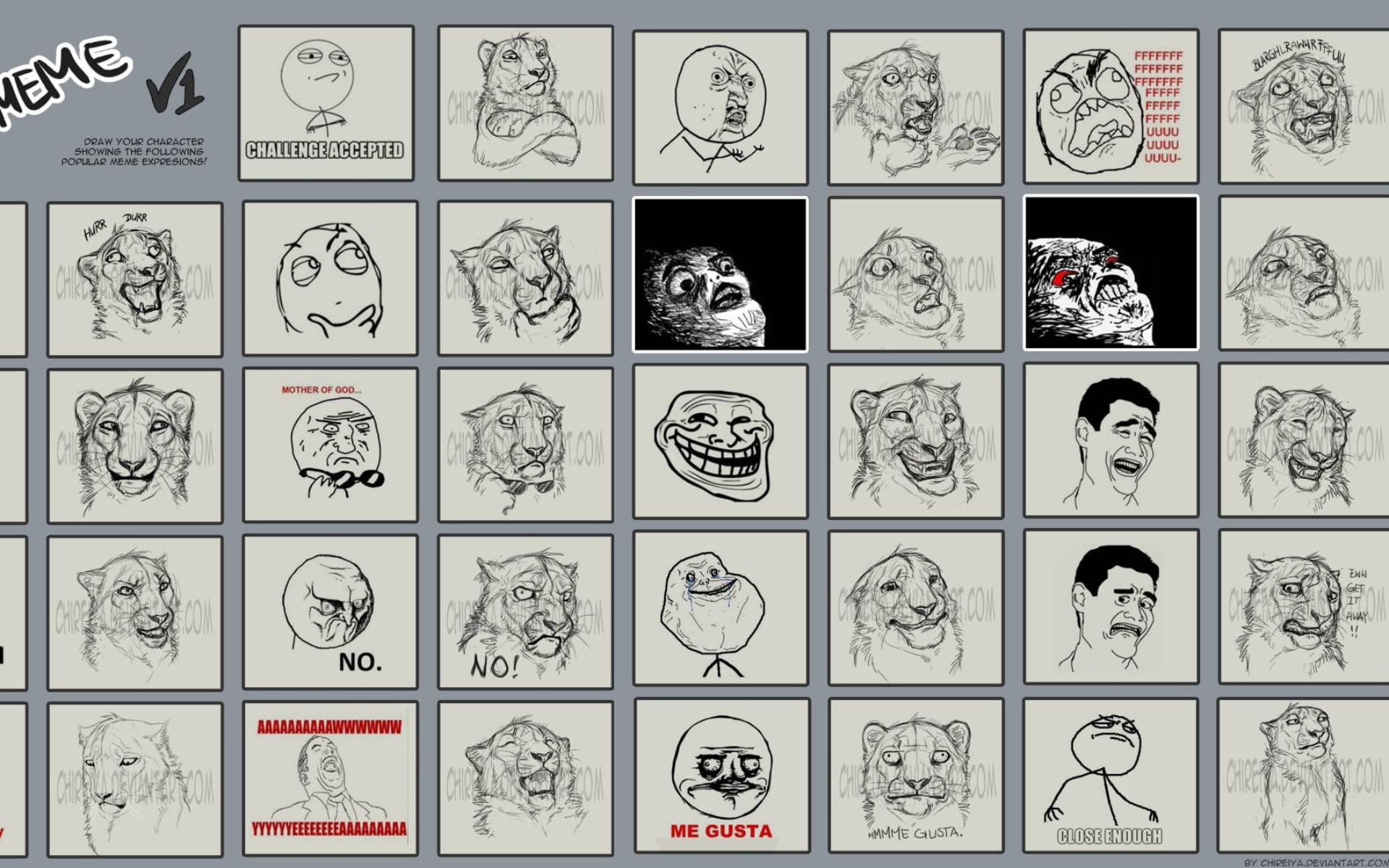 Meme Faces, internet memes, exaggerated animal and human faces, Full HD Desktop Wallpaper