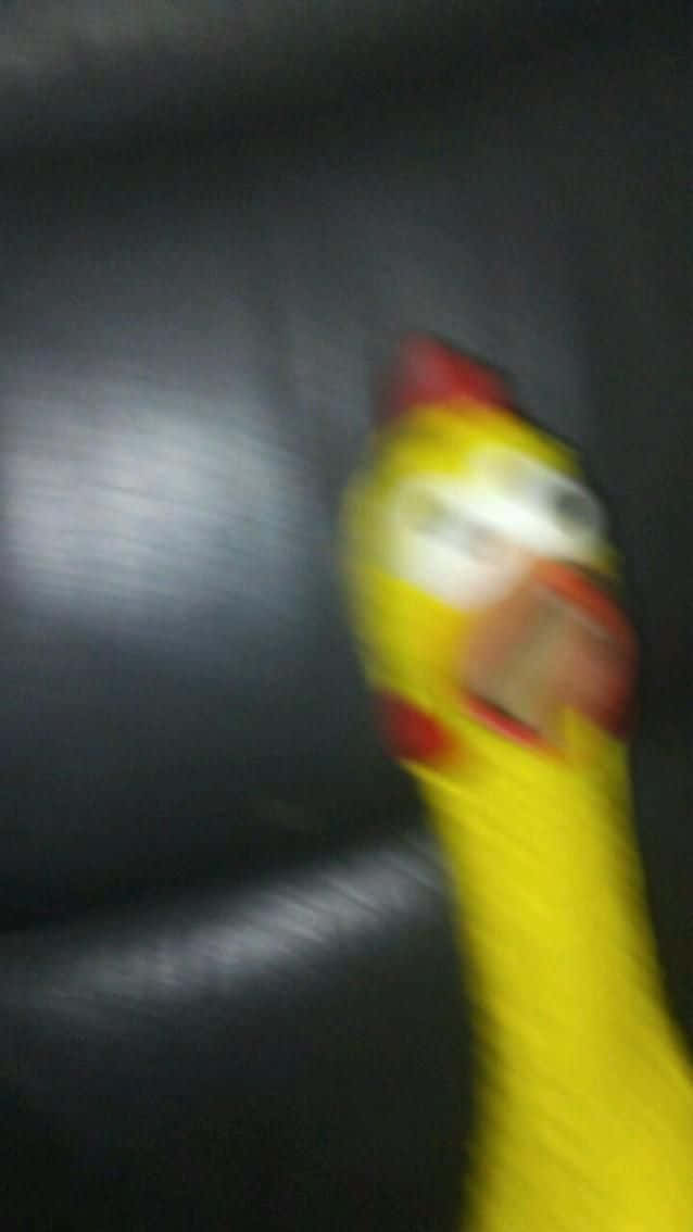 Meme iPhone, yellow chicken plush toy, red comb, SD Phone Wallpaper