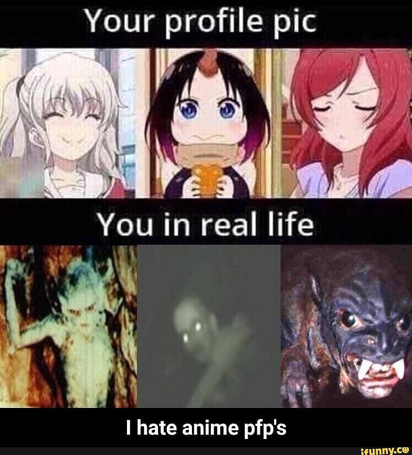 anime girls, grotesque monsters, meme about hating anime profile pictures, SD Phone Wallpaper