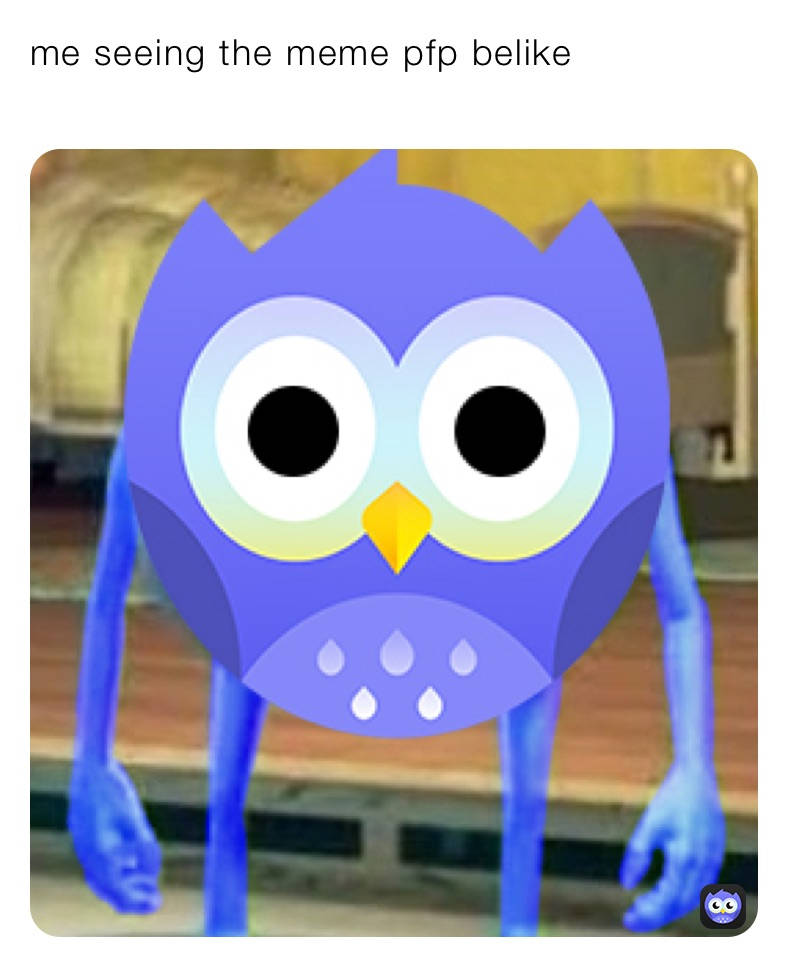 shocked owl meme, blue cartoon owl, wide eyes, SD Phone Wallpaper