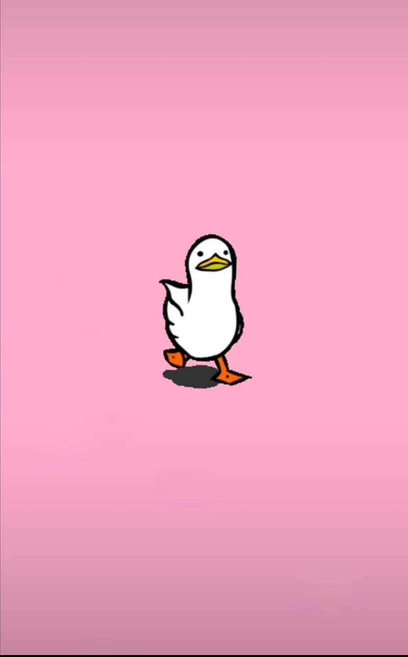 meme phone, white cartoon duck, orange feet, HD Phone Wallpaper