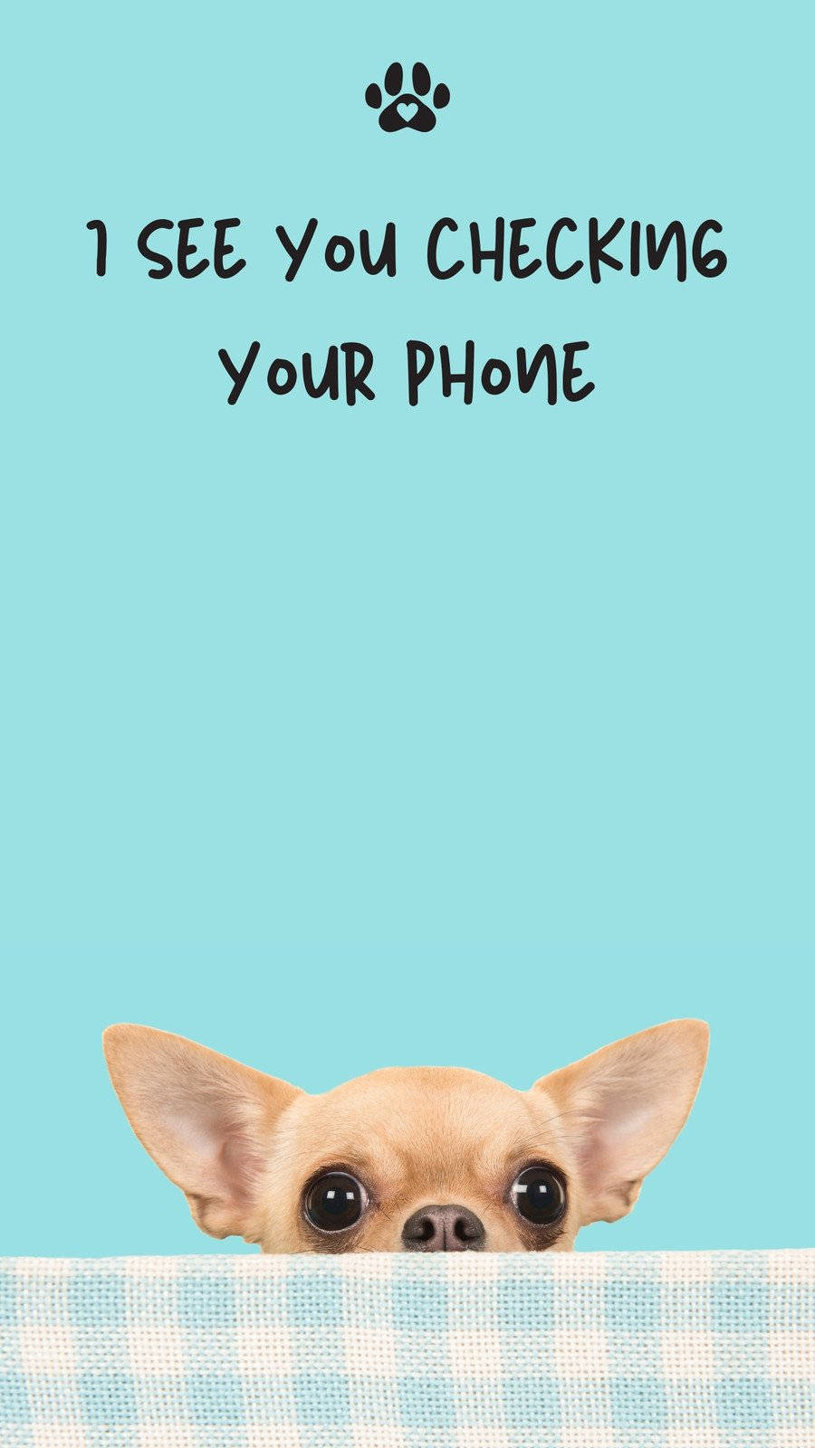 Meme Phone, chihuahua, checkered blanket, HD Phone Wallpaper