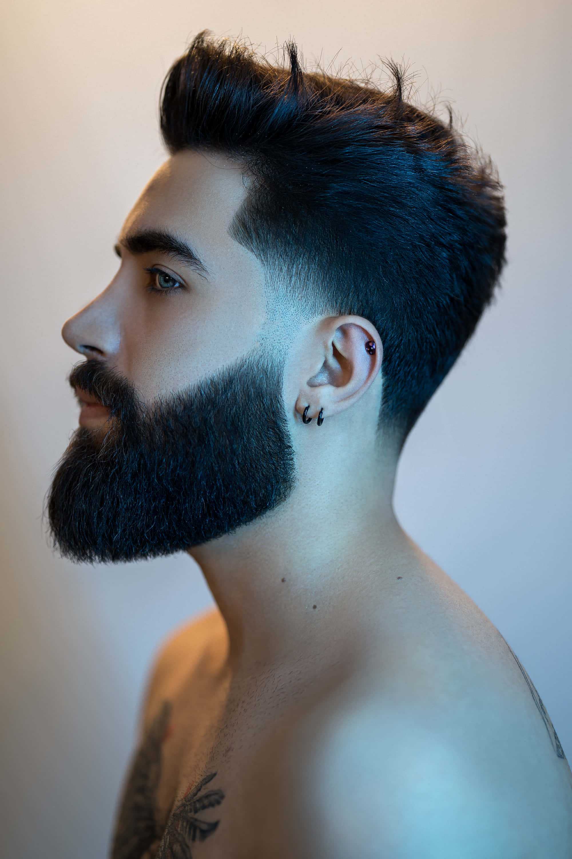 full beard, styled haircut, plain background, 2K Phone Wallpaper