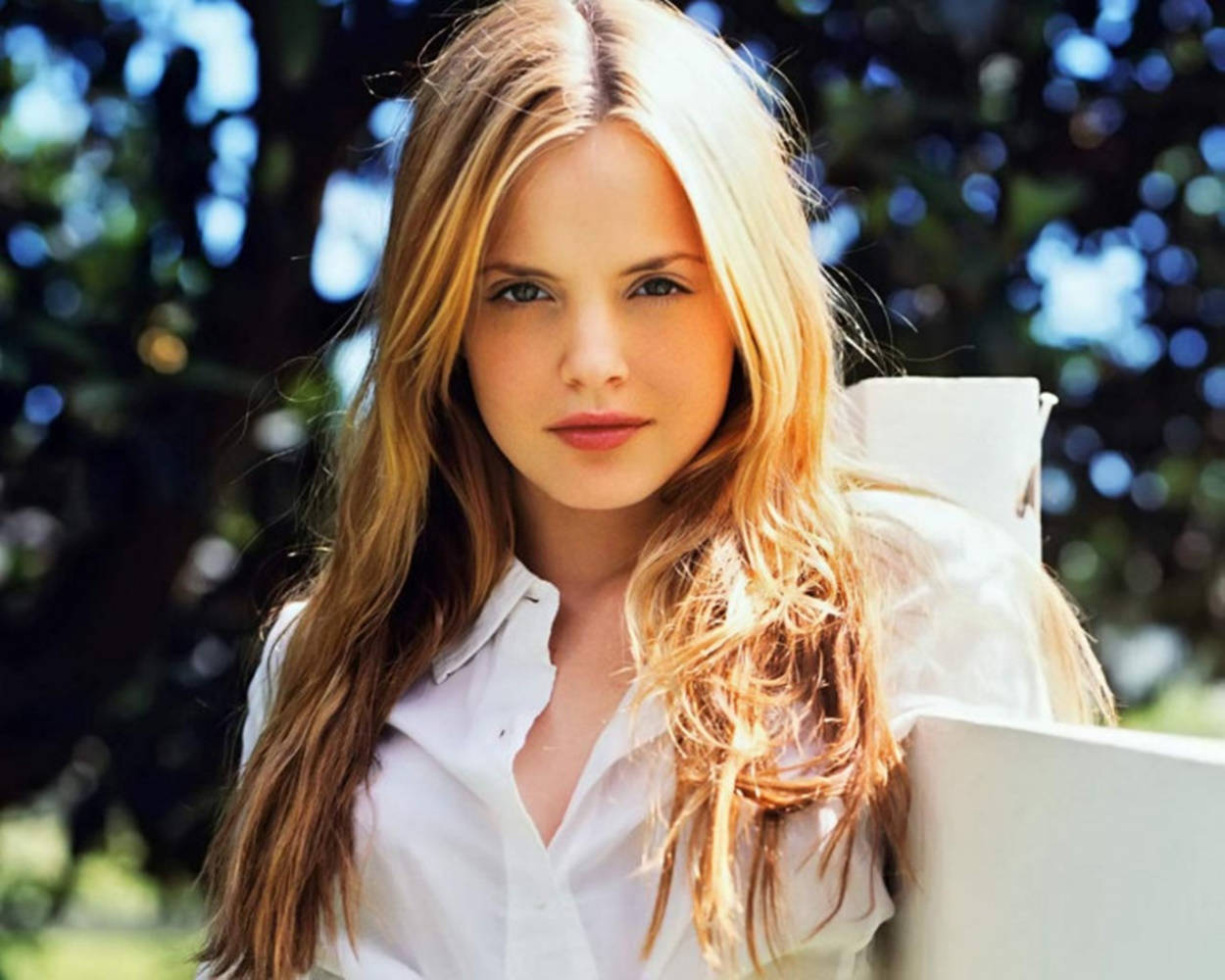 Mena Suvari, white polo shirt, long blonde hair, SD Desktop Wallpaper