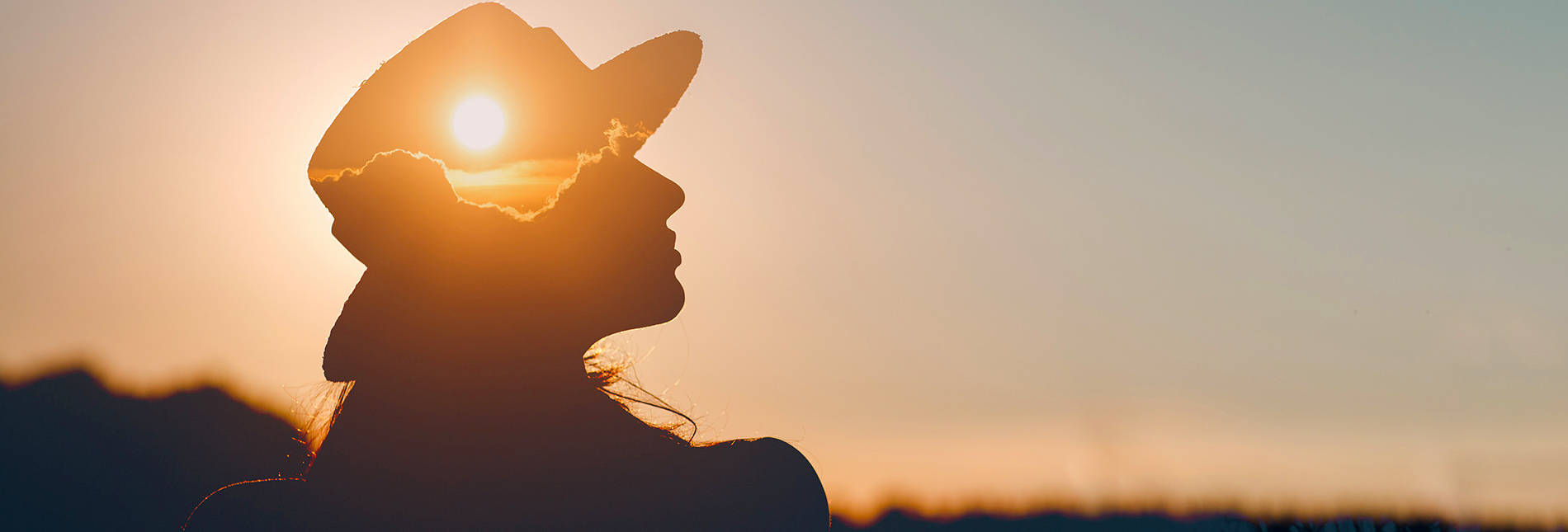 sun, sunset, silhouette, HD Desktop Wallpaper
