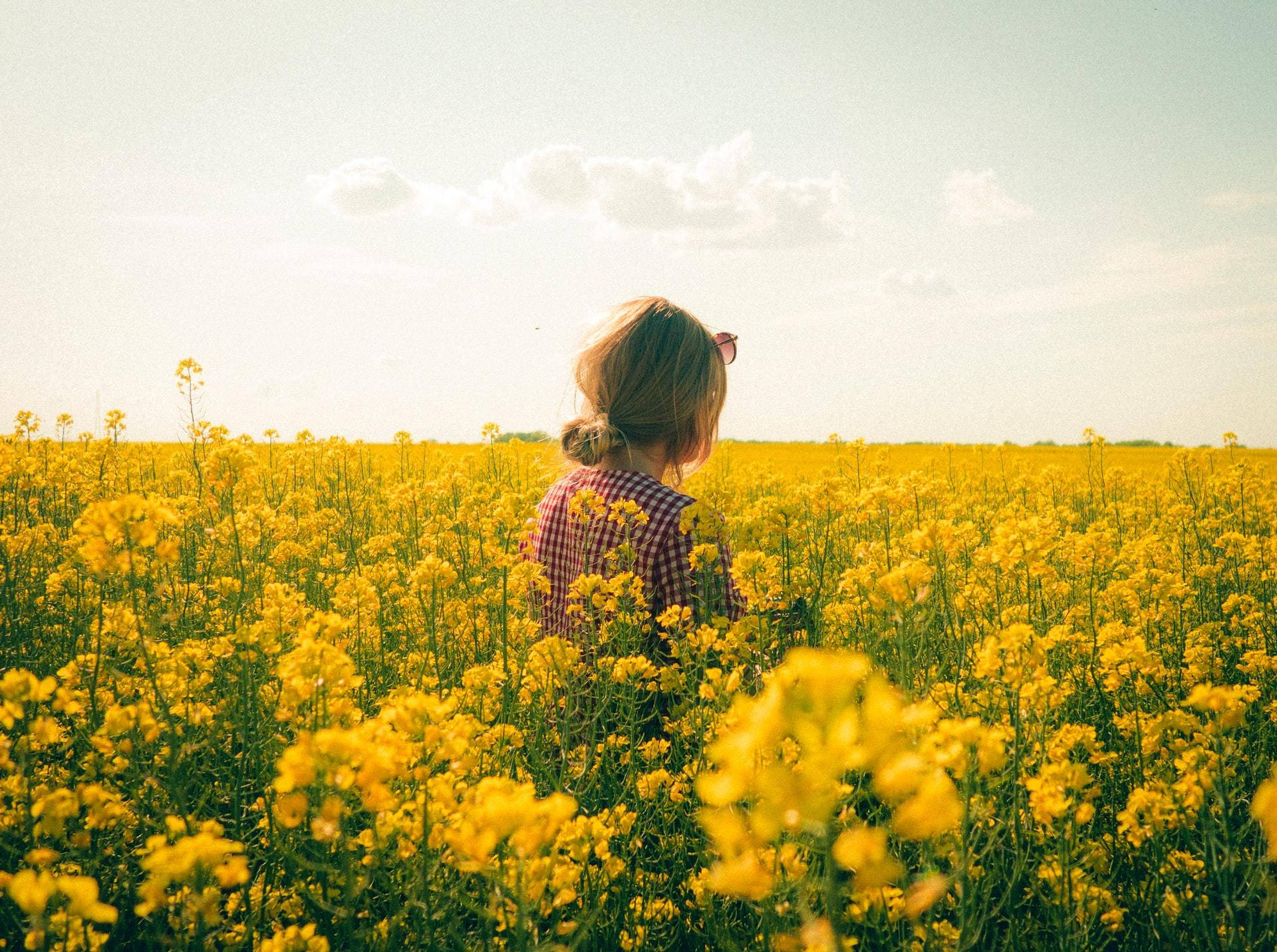 blonde hair, checkered shirt, vast field of bright yellow flowers, Full HD Desktop Wallpaper