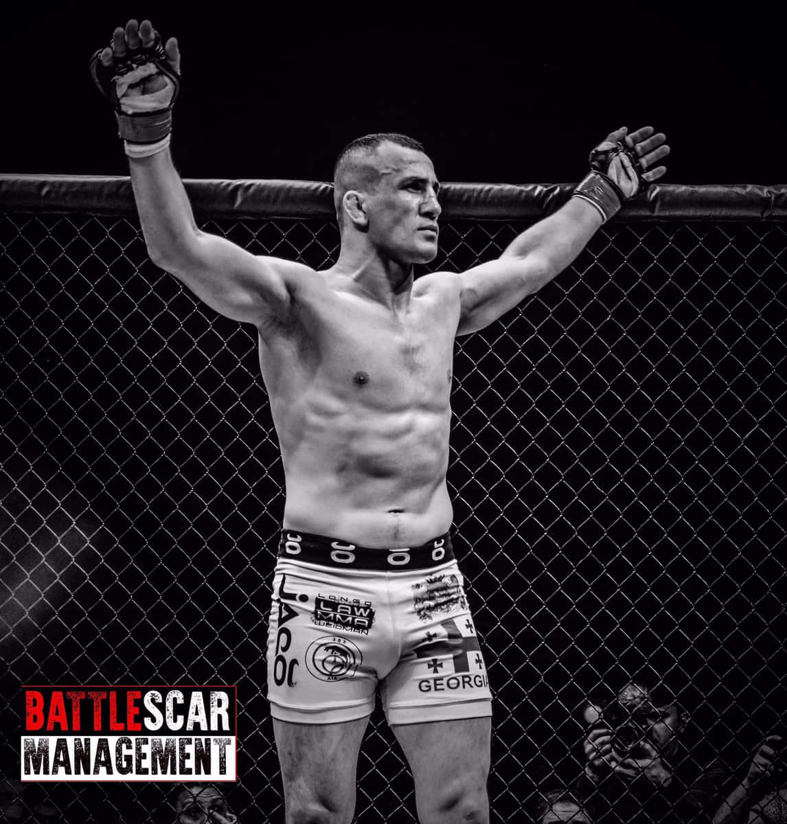 Merab Dvalishvili, dimly lit octagon cage, victorious mixed martial artist, SD Phone Wallpaper