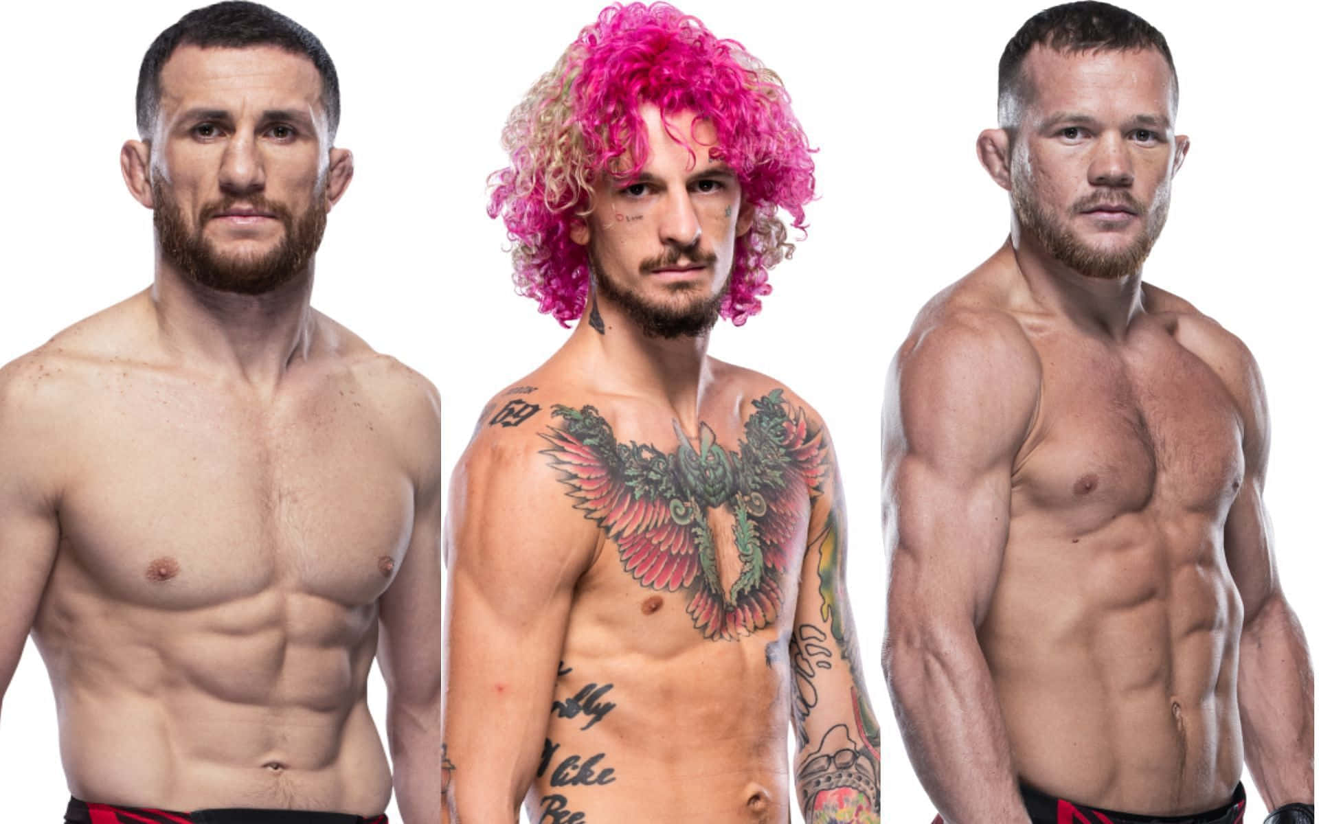 Merab Dvalishvili, pink curly hair, large chest tattoo, Full HD Desktop Wallpaper
