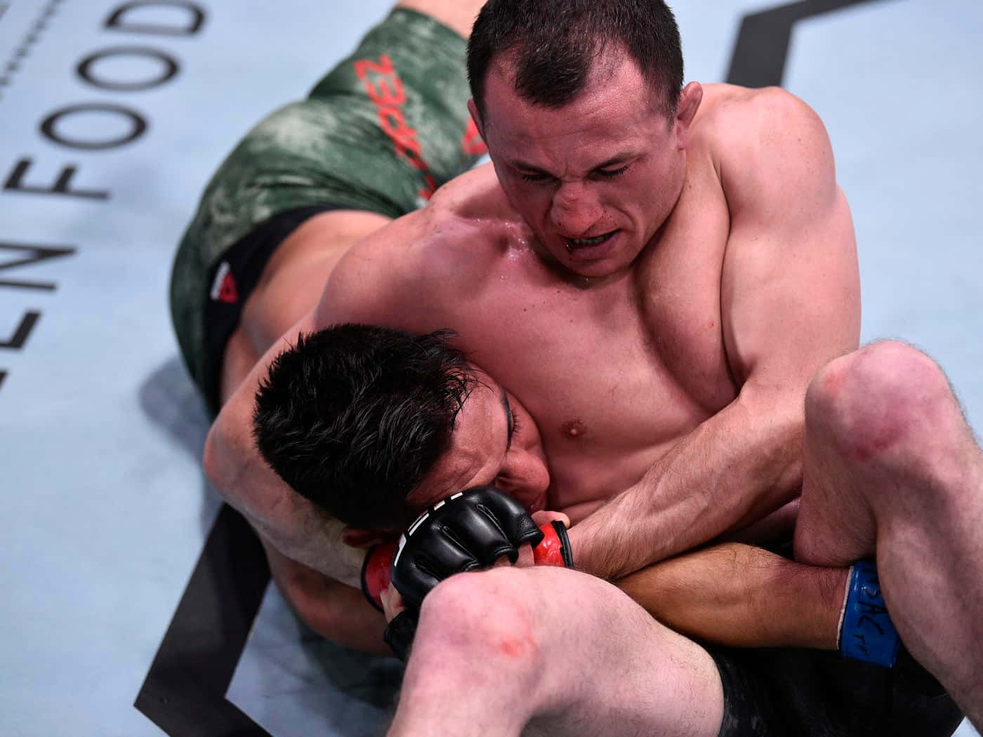 Merab Dvalishvili, headlock, blue MMA octagon mat, HD Desktop Wallpaper