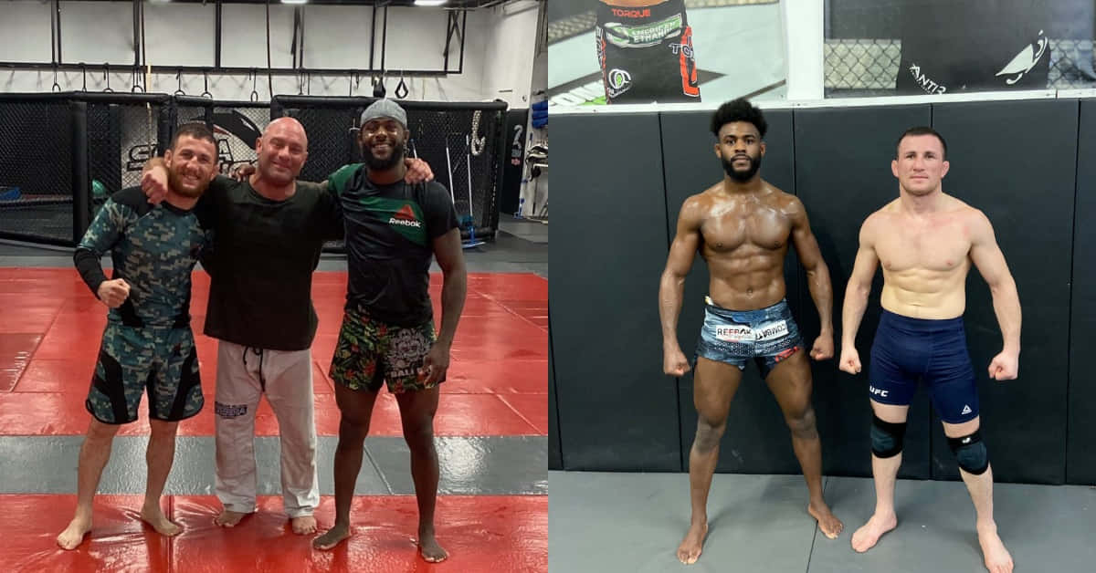 Merab Dvalishvili, MMA gym, red mats, SD Desktop Wallpaper