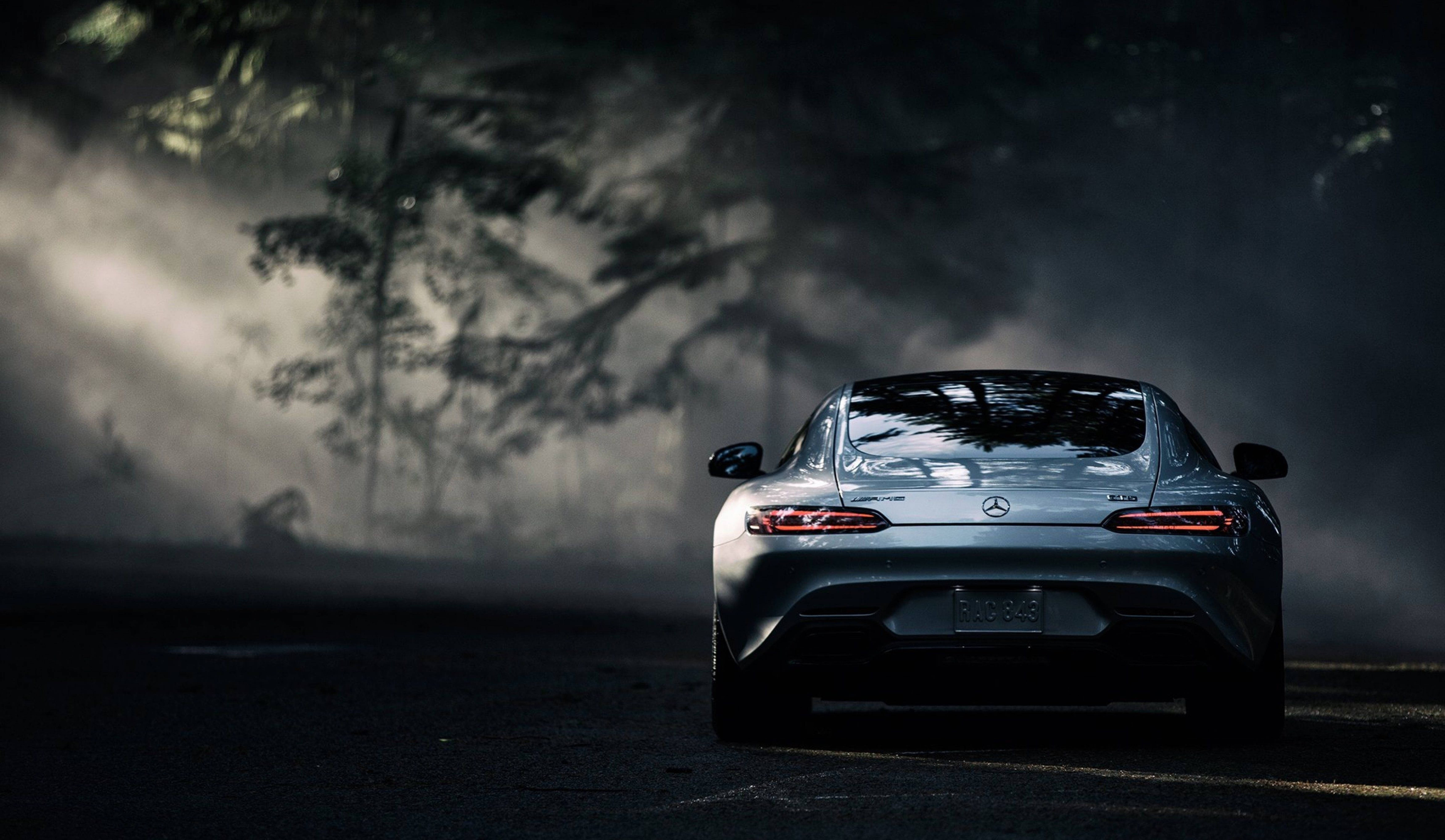 Mercedes AMG, silver, misty forest, 5K Desktop Wallpaper