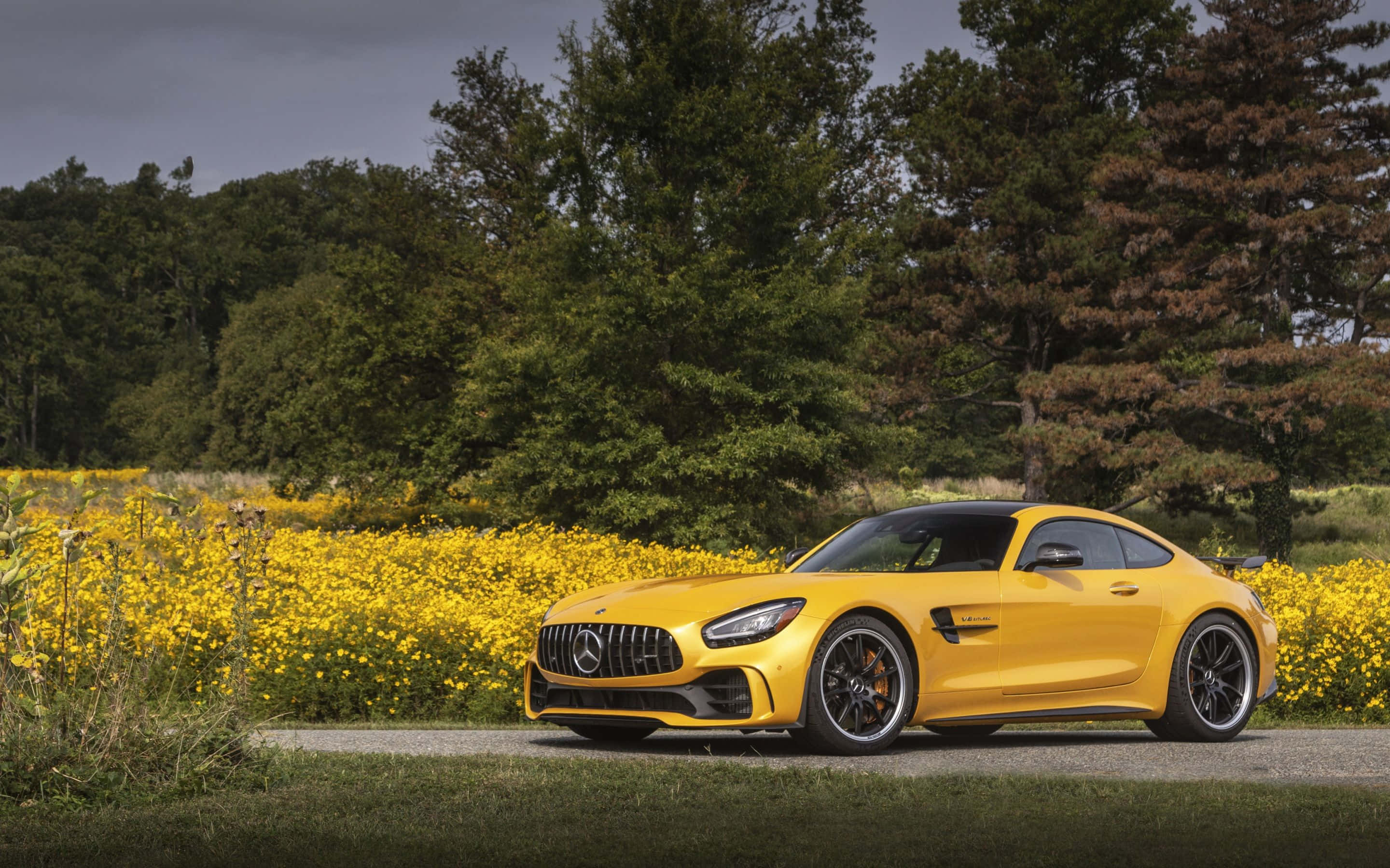 Mercedes-AMG GT, vibrant yellow, gravel path, 2K Desktop Wallpaper