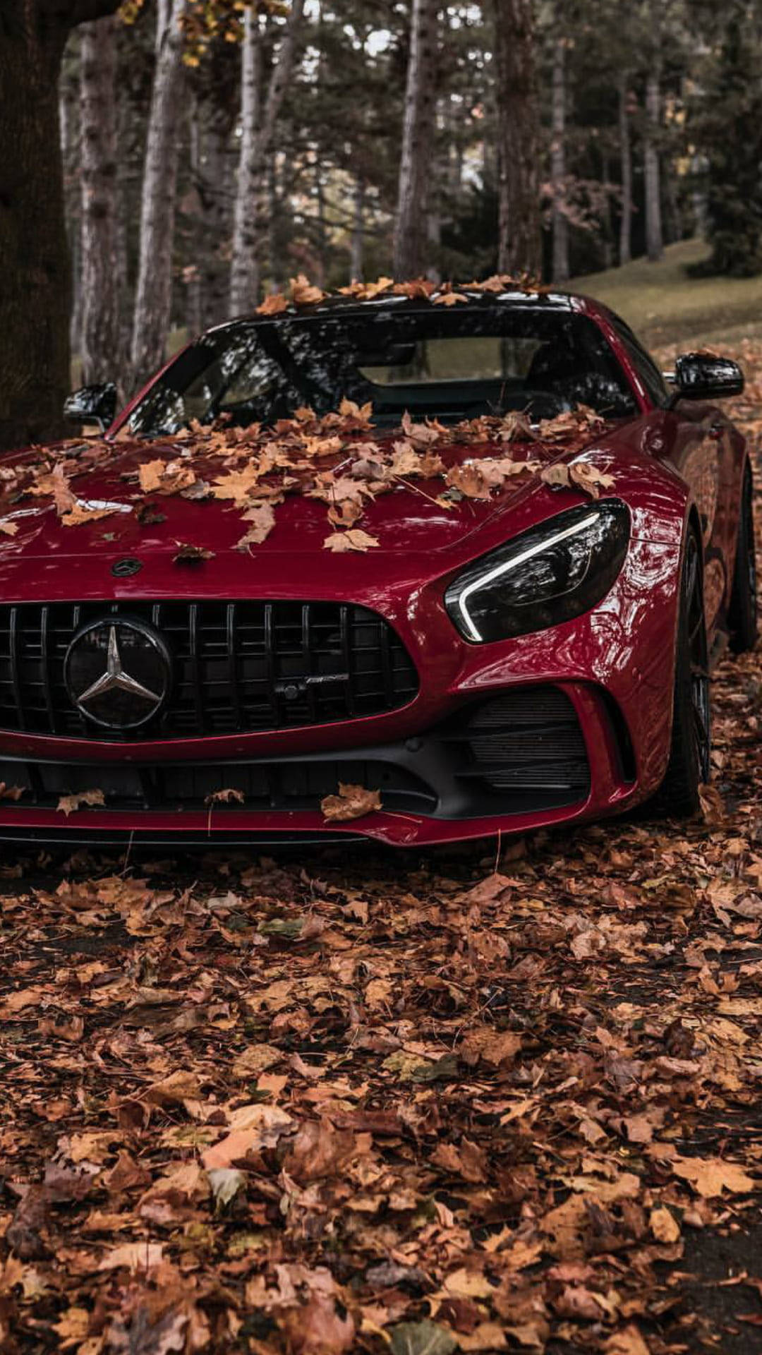Mercedes AMG, autumn, glossy red sports car, Full HD Phone Wallpaper