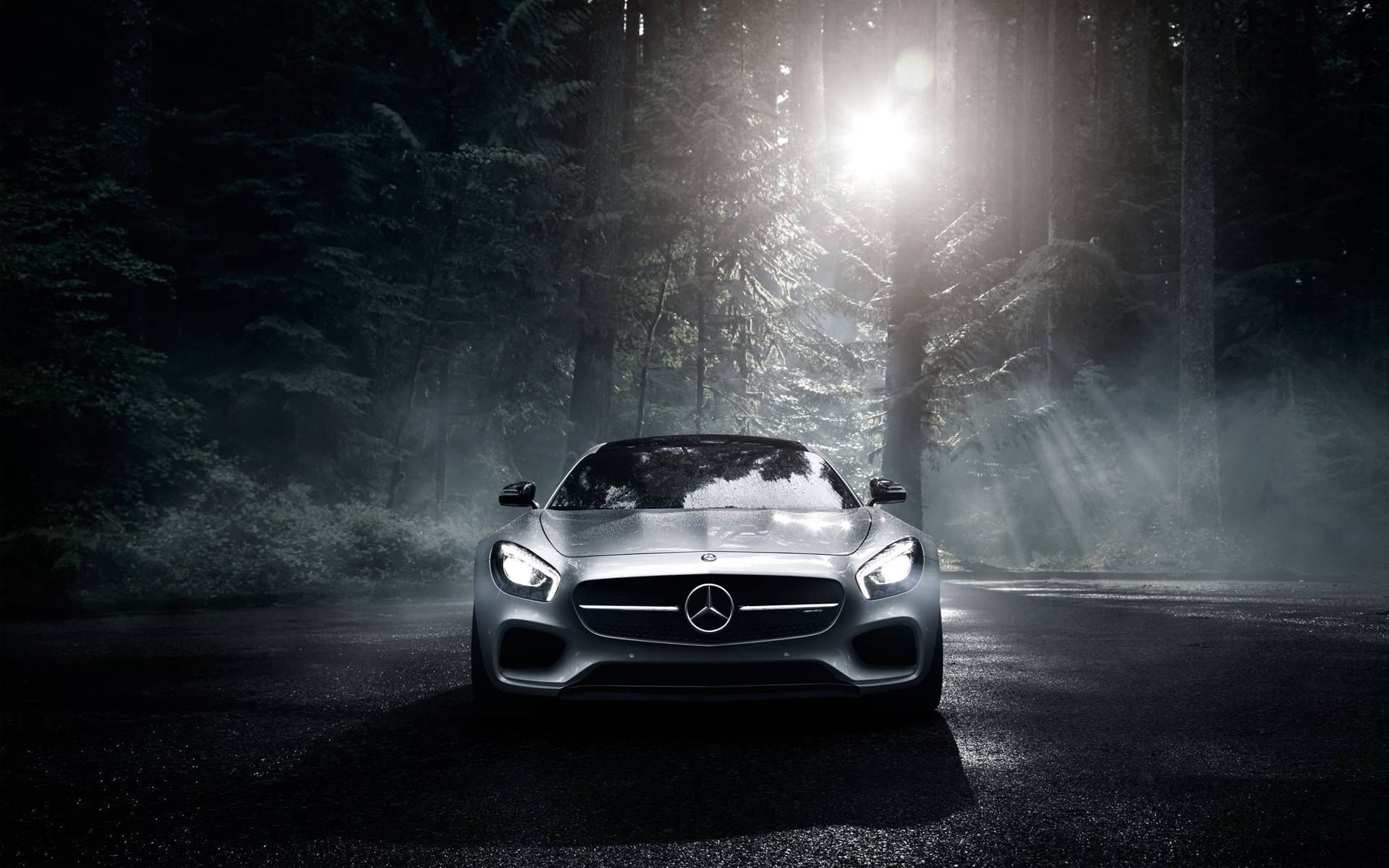 Mercedes Benz AMG, sleek silver sports car, dramatic forest sunlight, Full HD Desktop Wallpaper