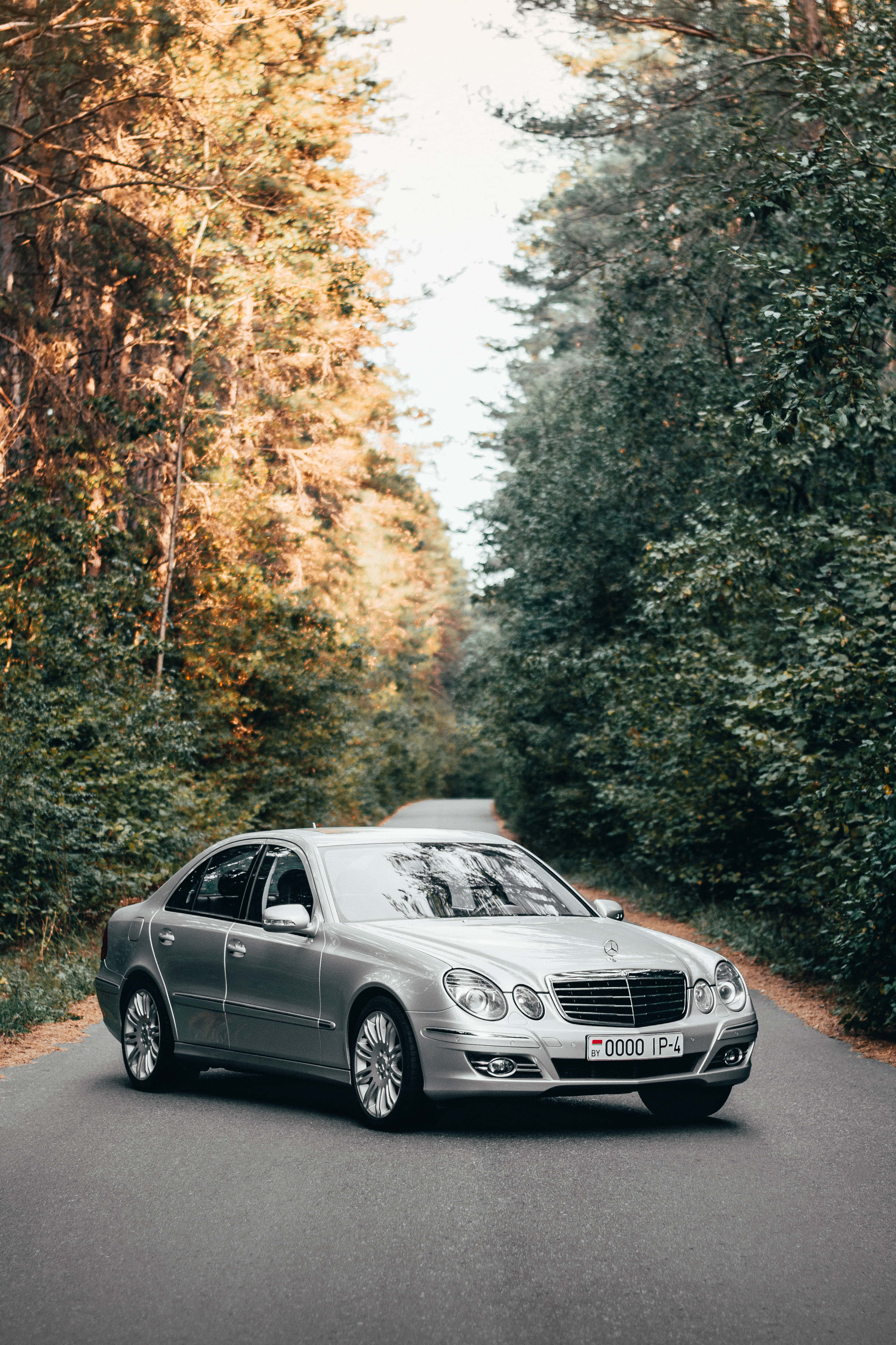 Mercedes Benz Clase E, silver, forest road, 4K Phone Wallpaper