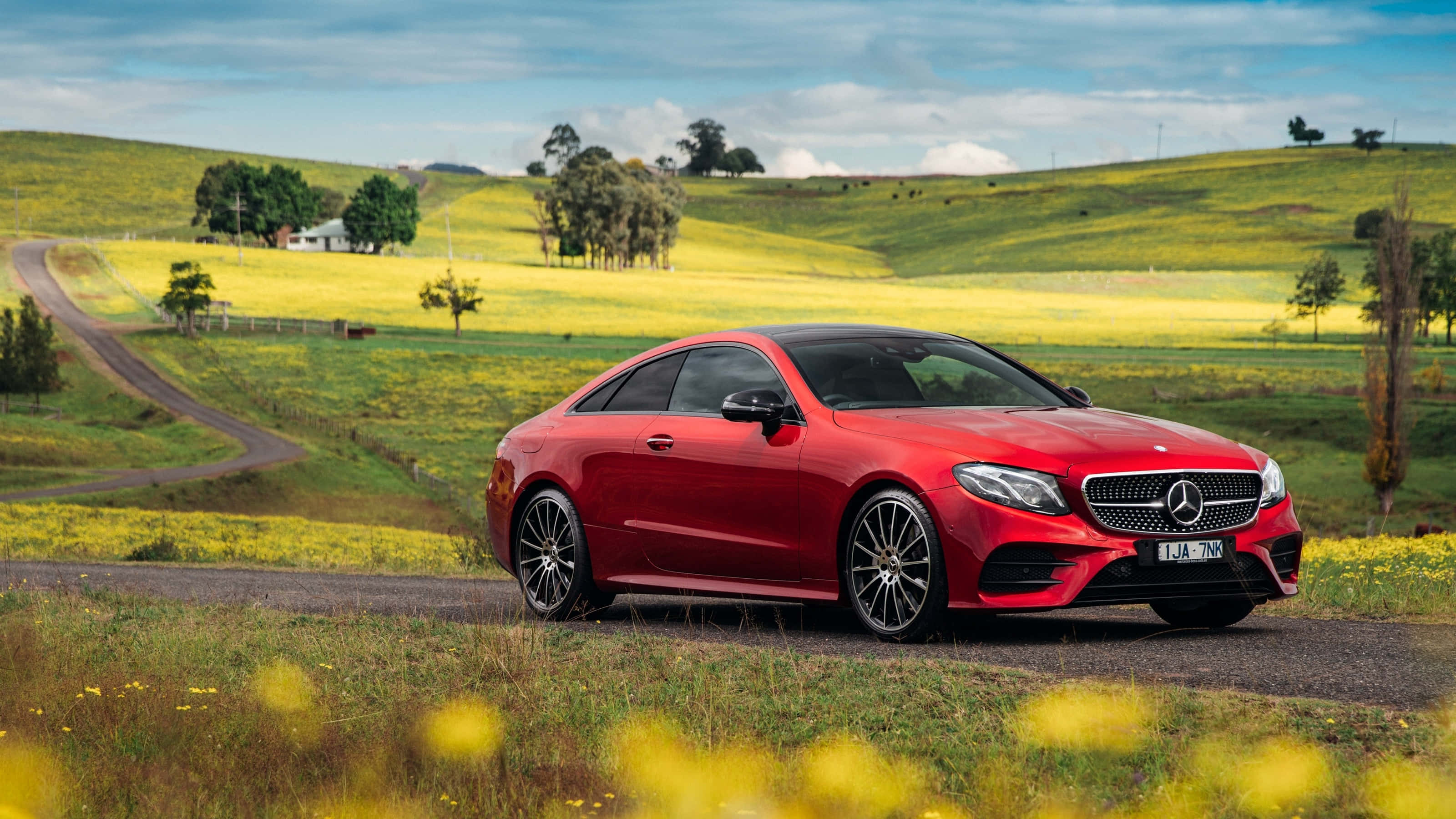 Mercedes Benz Clase E, glossy red, winding rural road, 2K Desktop Wallpaper