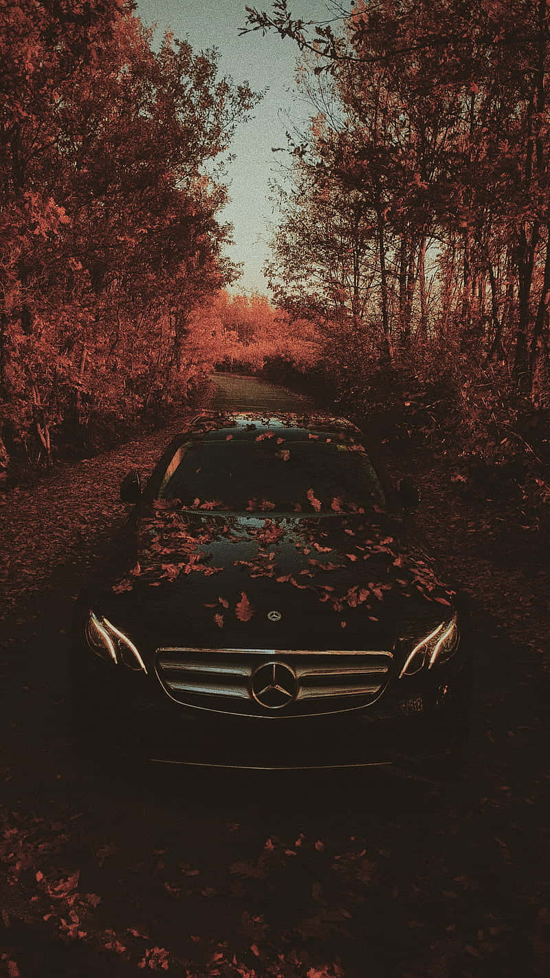 Mercedes Benz Clase E, black, forest road, HD Phone Wallpaper