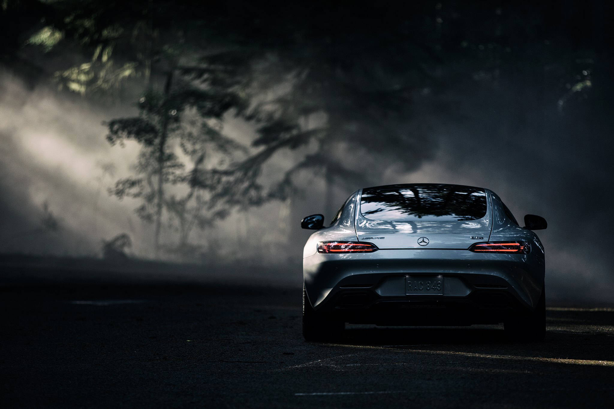 Mercedes, sleek silver sports car, misty forest, Full HD Desktop Wallpaper