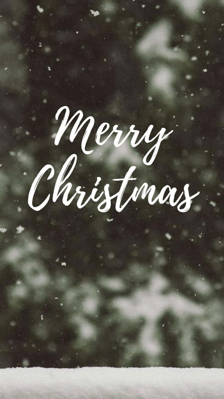 Merry Christmas, white cursive, snowy forest, HD Phone Wallpaper