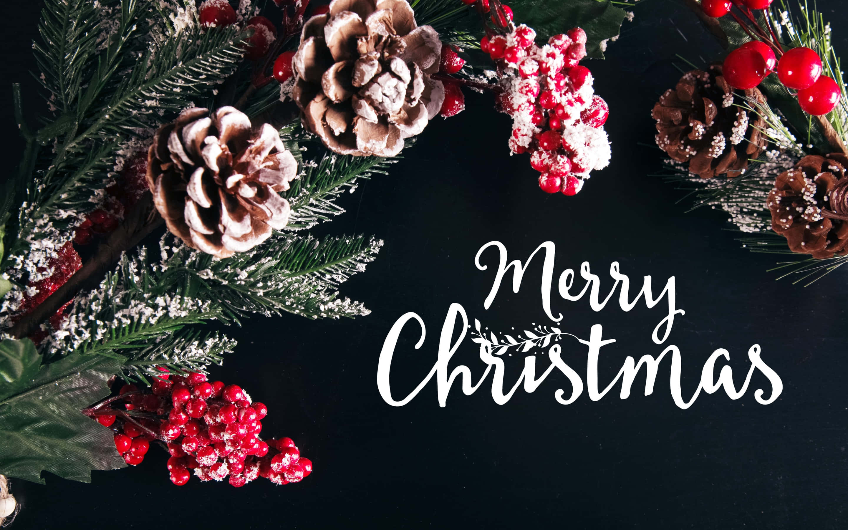 Merry Christmas, pinecones, red berries, 2K Desktop Wallpaper