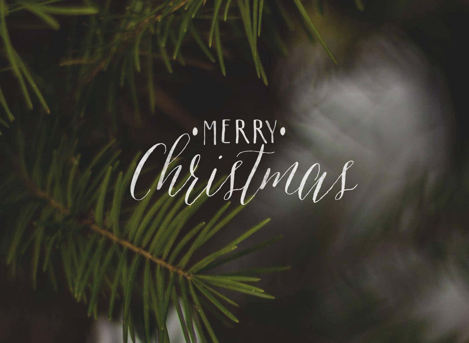 Merry Christmas, pine branch, elegant white script, HD Desktop Wallpaper