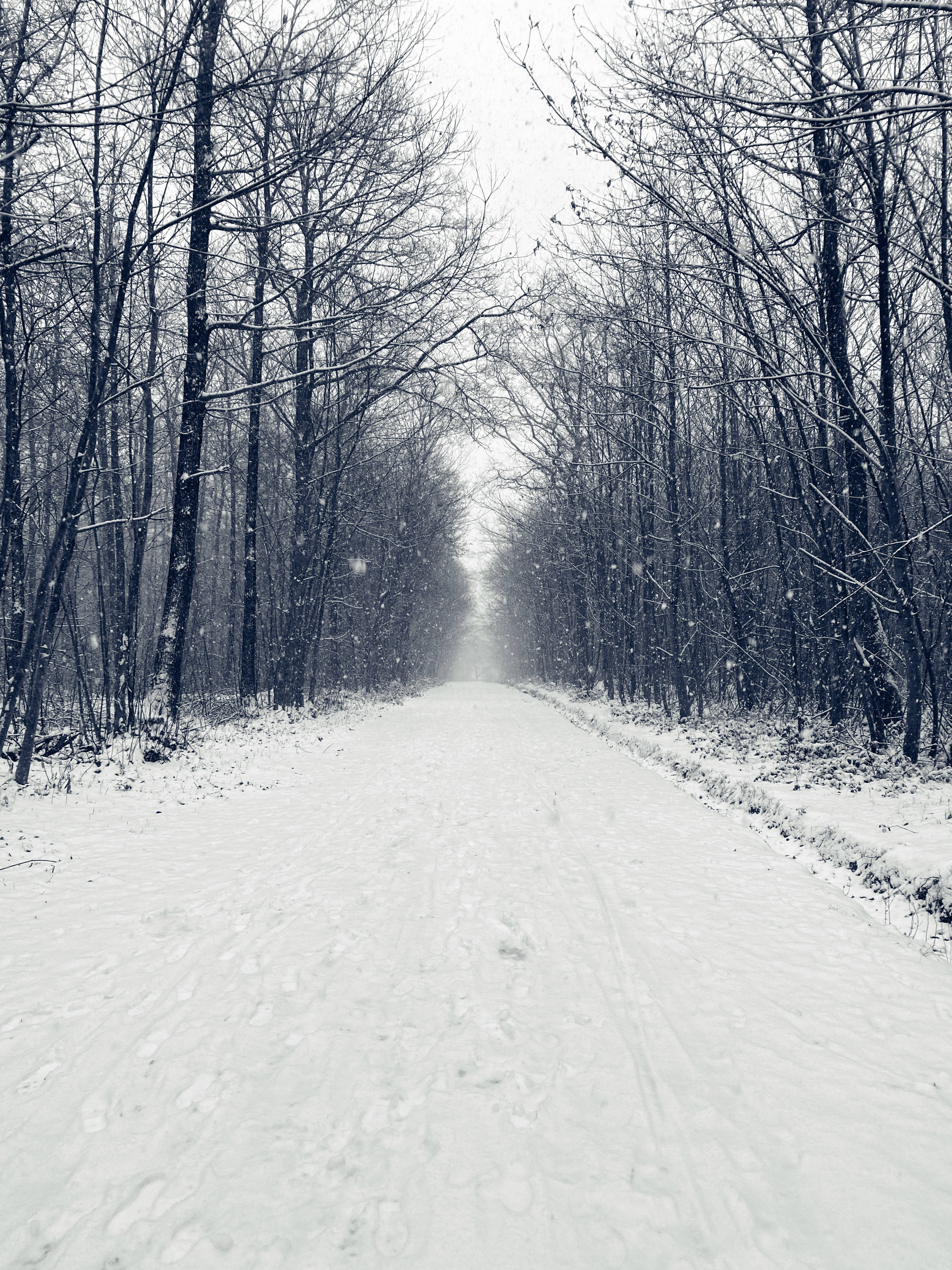 Winter Road, Merry Christmas HD, snow-covered road, 4K Phone Wallpaper