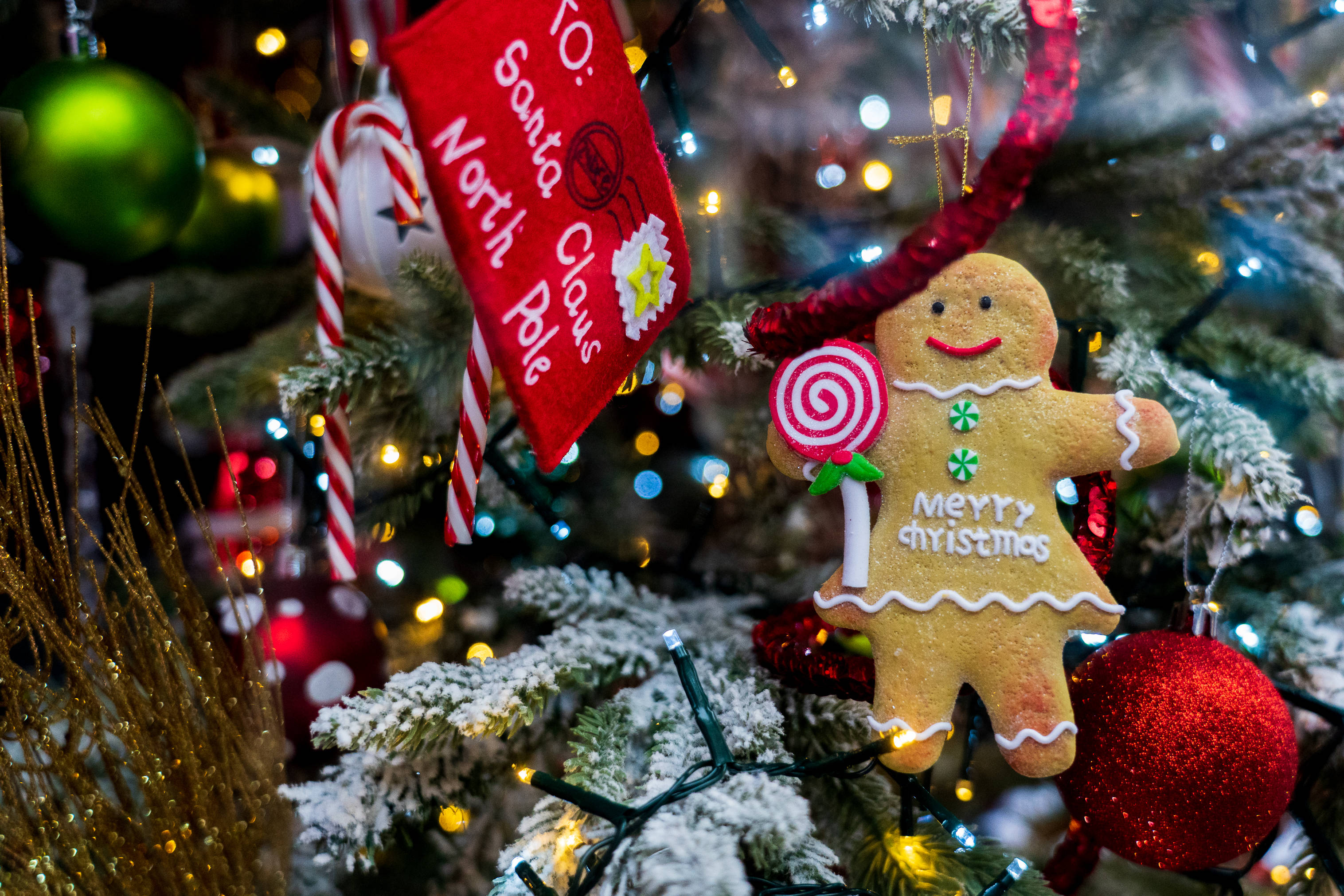 gingerbread man, lollipop, snowy Christmas tree, 2K Desktop Wallpaper