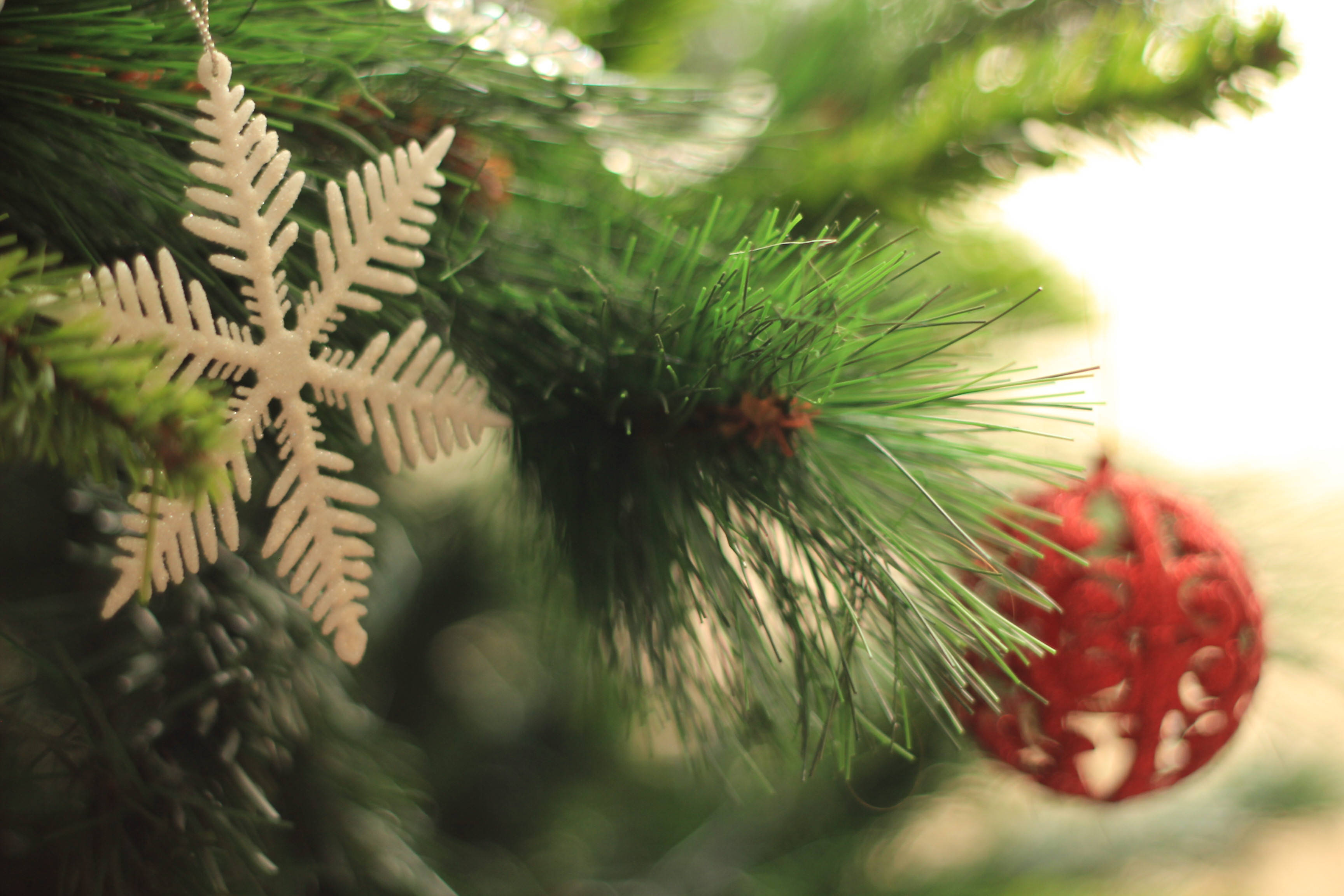 Merry Christmas, snowflakes decor, evergreen branch, 2K Desktop Wallpaper