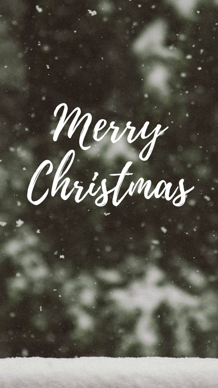 Merry Christmas, snowy forest, falling snowflakes, HD Phone Wallpaper