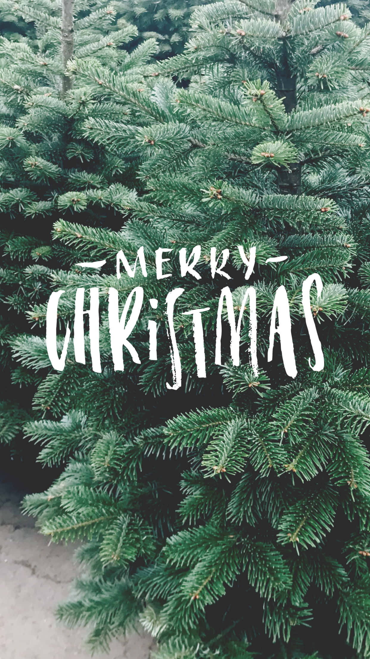 iPhone, Christmas, Merry Christmas, Full HD Phone Wallpaper