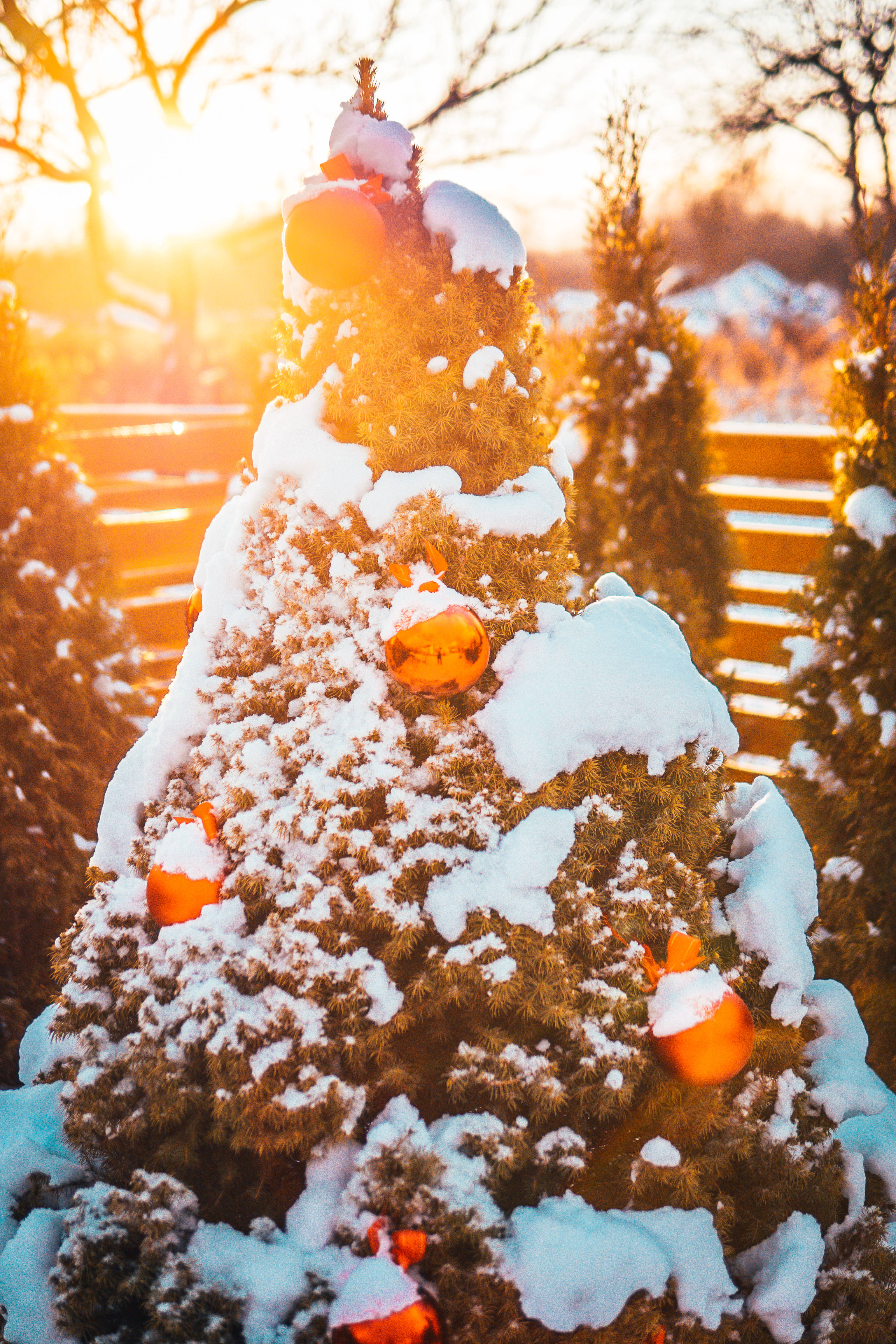 snowy tree, evergreen tree, glowing orange ornaments, 4K Phone Wallpaper