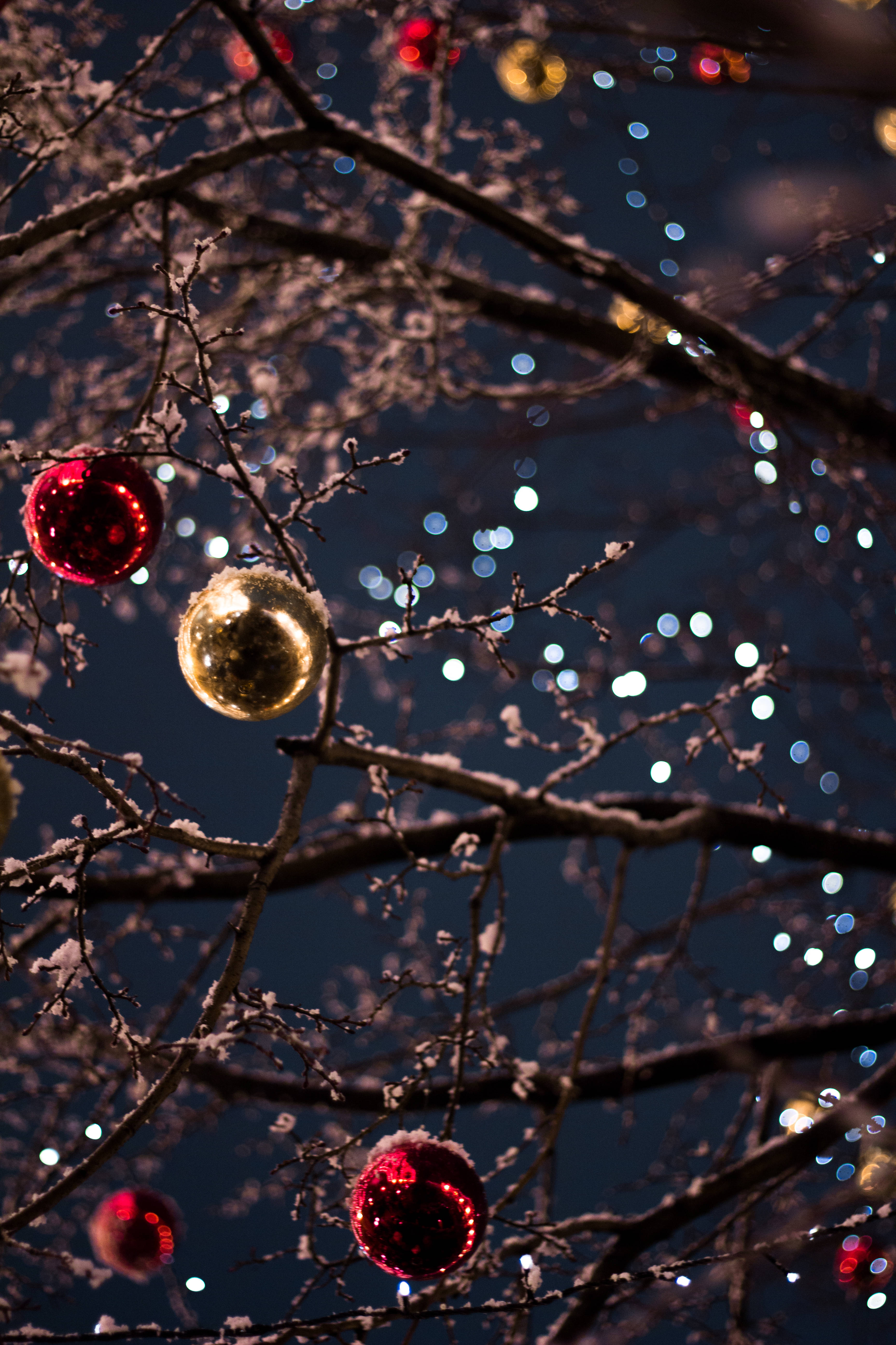 Christmas Tree Balls, red and gold ornaments, snow-dusted tree branches, 5K Phone Wallpaper
