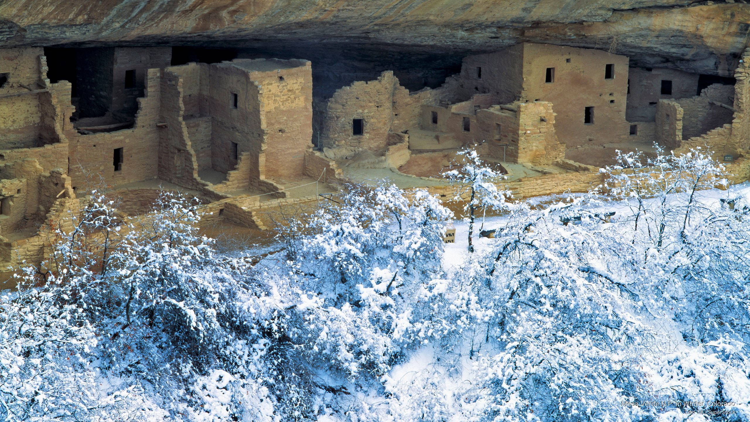 Mesa Verde, snowy, cliff-dwelling ruins, 2K Desktop Wallpaper