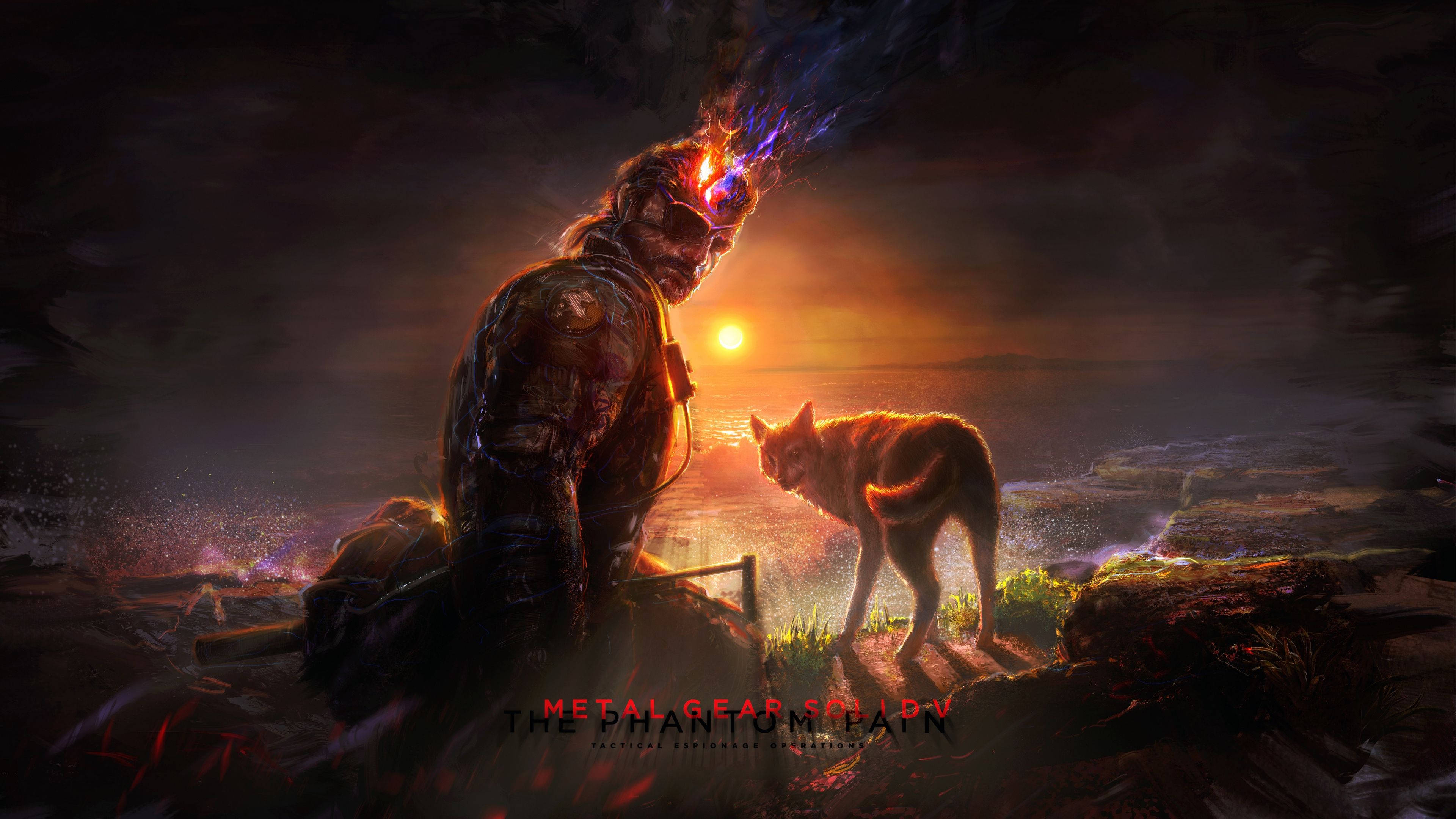 Metal Gear Solid 5, cybernetic, dog, 4K Desktop Wallpaper
