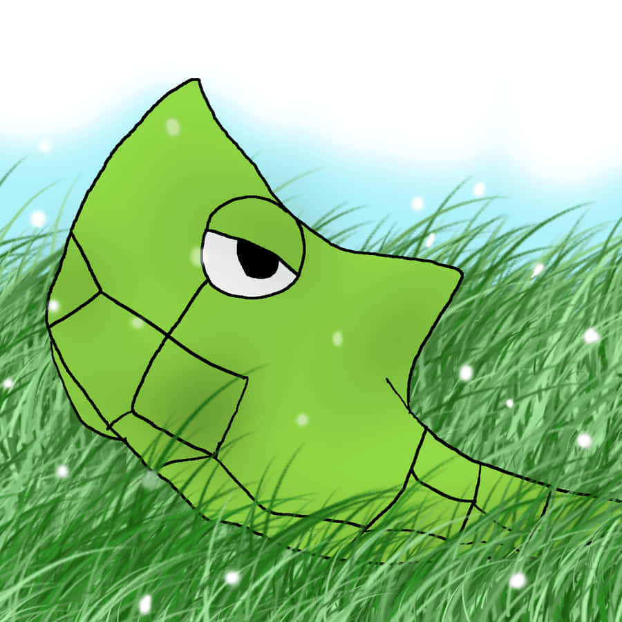Metapod, green turtle, segmented shell, SD Desktop Wallpaper