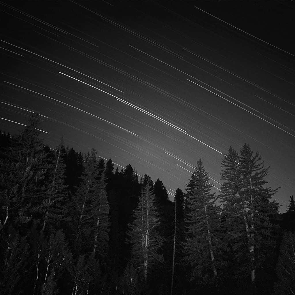 Forest Meteor Shower, dark iPad, star trails, SD Desktop Wallpaper