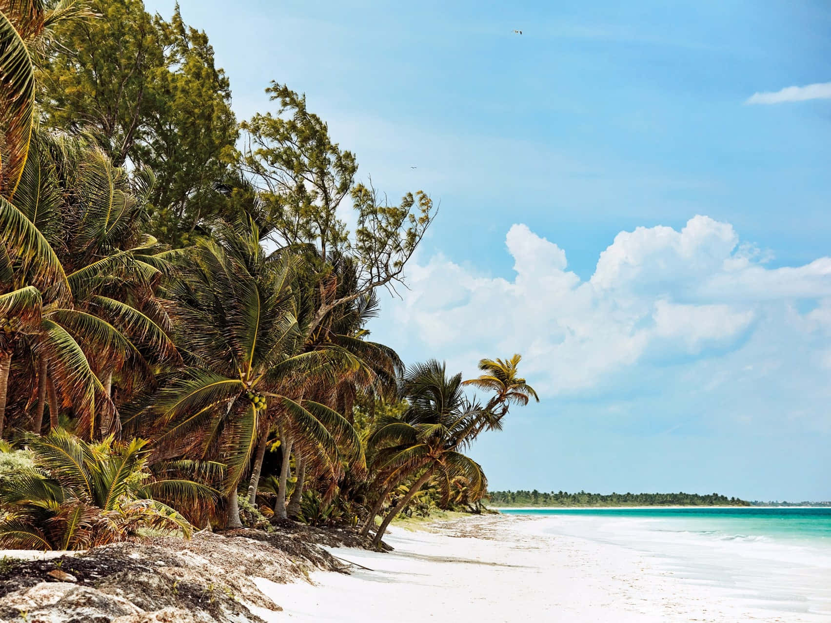 Mexican Beach, white sand, palm trees, HD Desktop Wallpaper