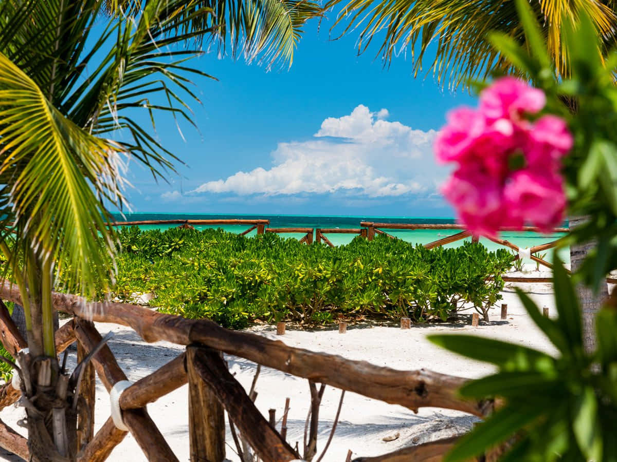 Mexican Beach, Sunset, turquoise water, SD Desktop Wallpaper