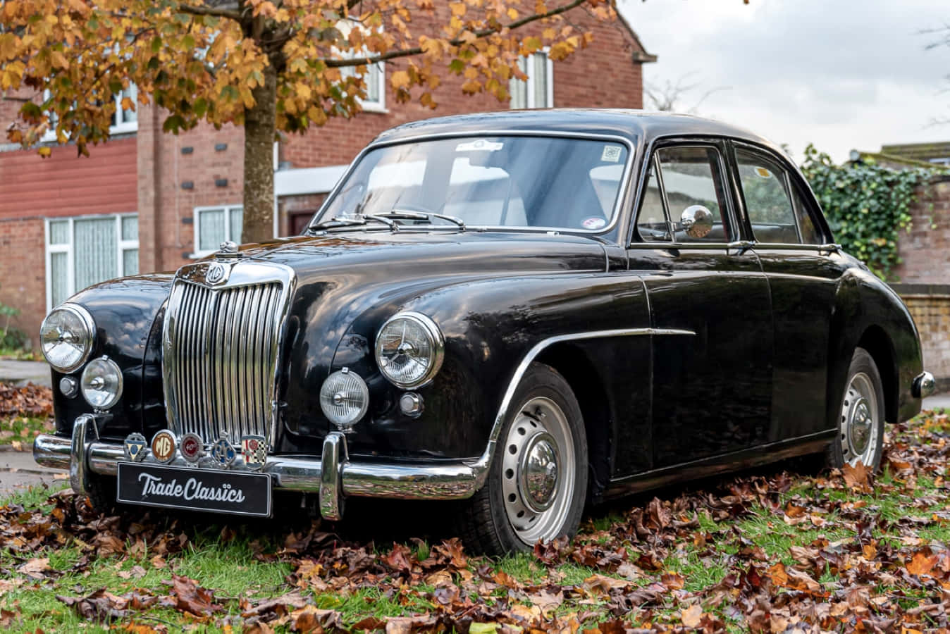 MG Magnette, glossy black, vintage MG car, HD Desktop Wallpaper