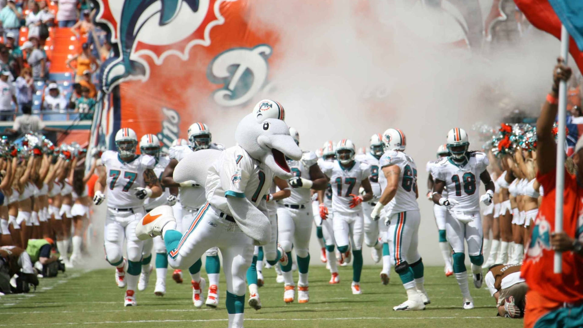 Miami Dolphins, mascot, white uniforms, Full HD Desktop Wallpaper