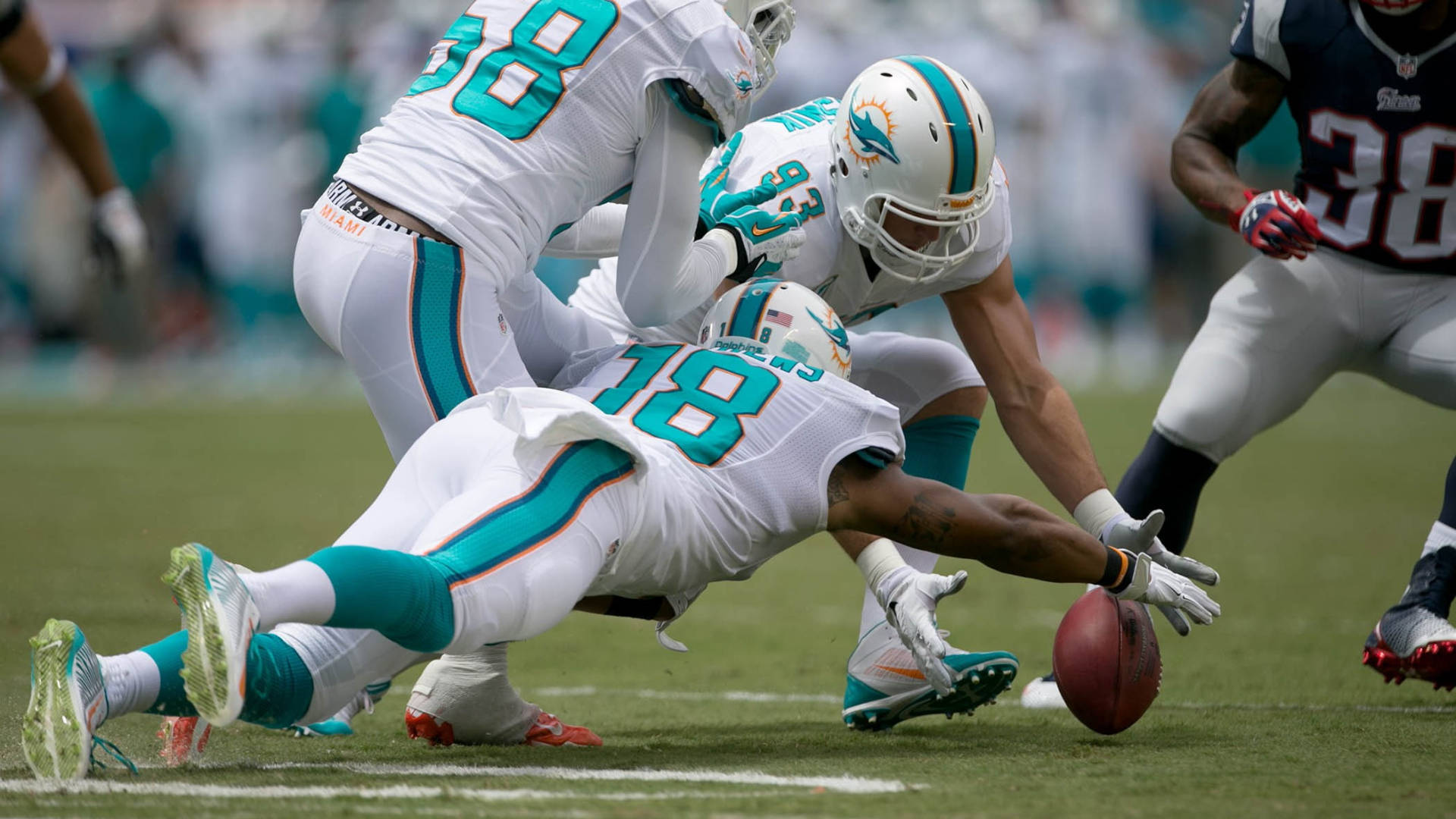 Miami Dolphins, player number 18, sunlit grass field, Full HD Desktop Wallpaper