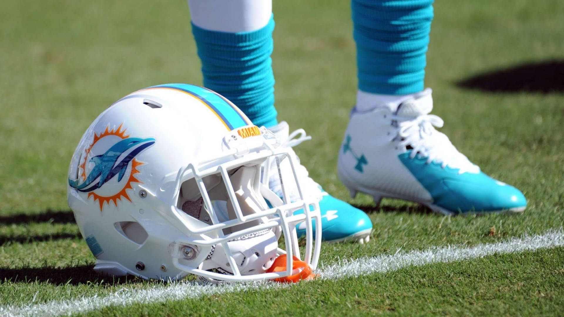 Miami Dolphins, football helmet, green turf, Full HD Desktop Wallpaper