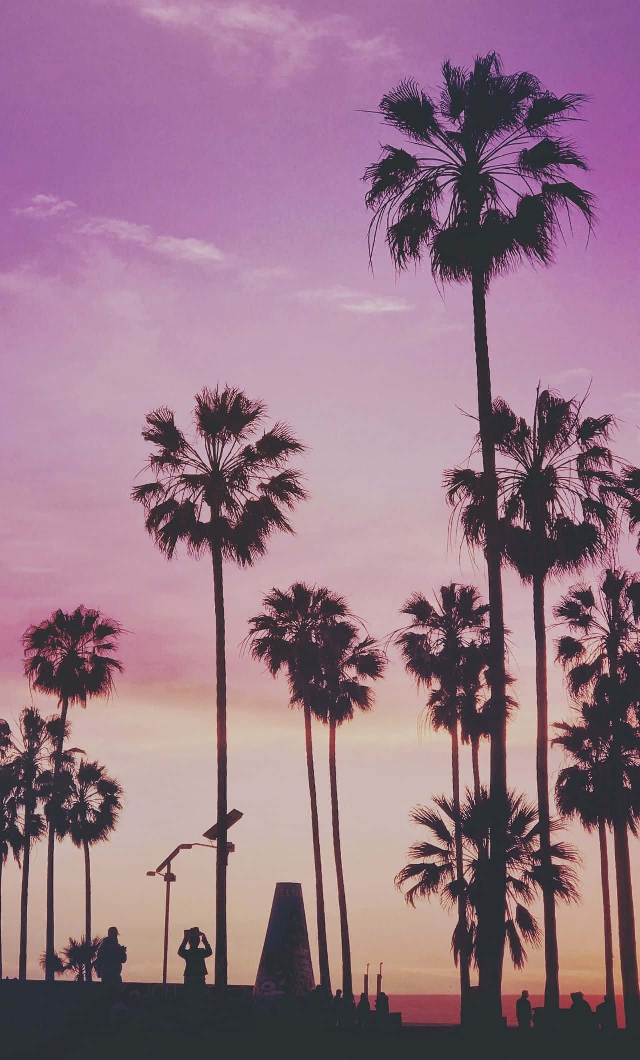 Miami, iPhone, purple sunset, Full HD Phone Wallpaper
