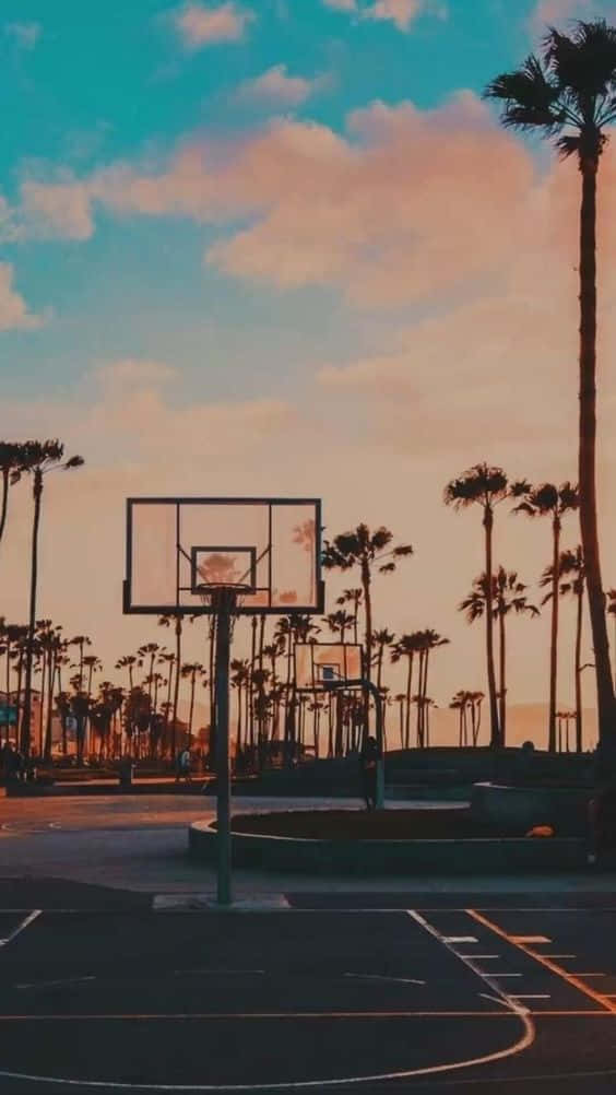 Miami, iPhone, basketball court, SD Phone Wallpaper
