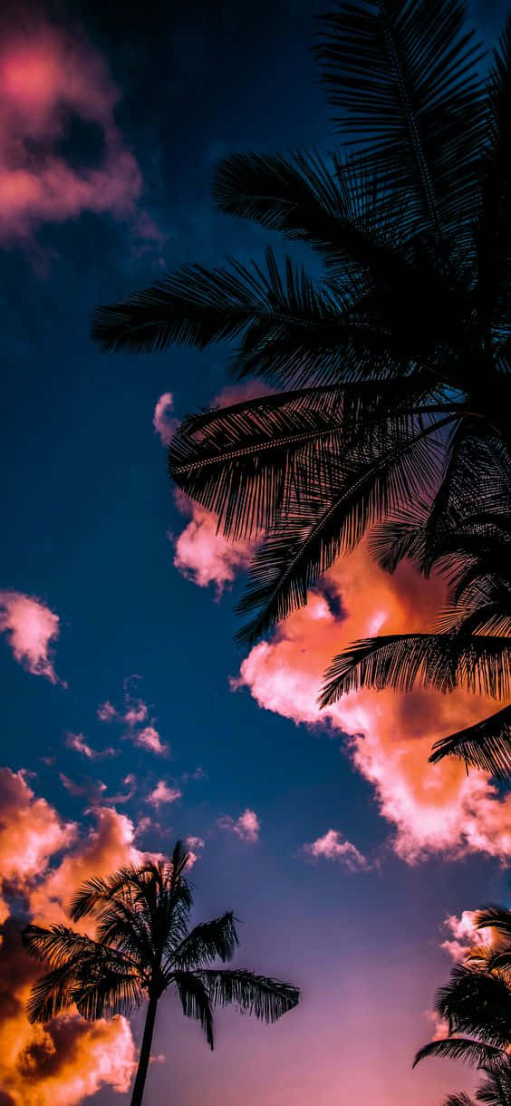 Miami, iPhone, cloudy sky, SD Phone Wallpaper