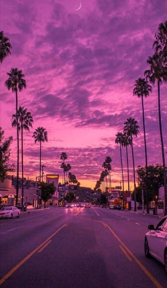 Miami, iPhone, purple sunset sky, SD Phone Wallpaper