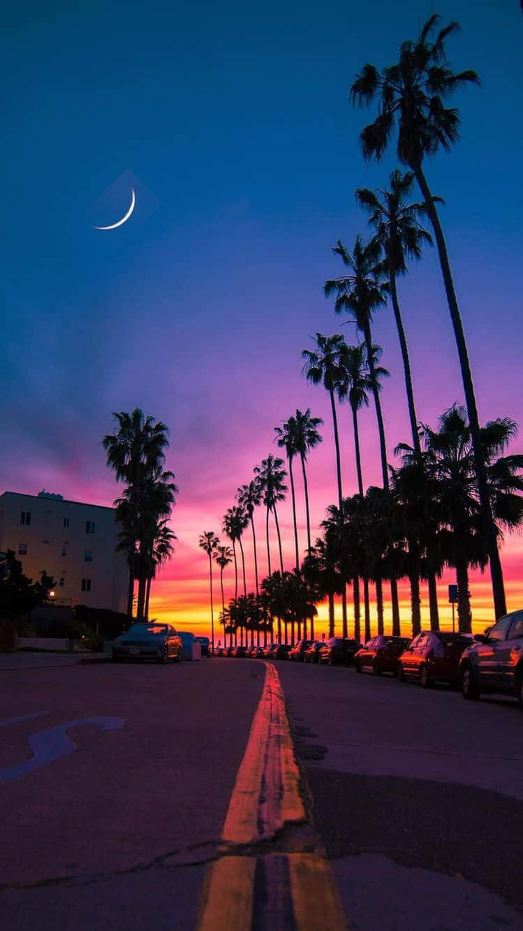 Miami, iPhone, sunset, HD Phone Wallpaper